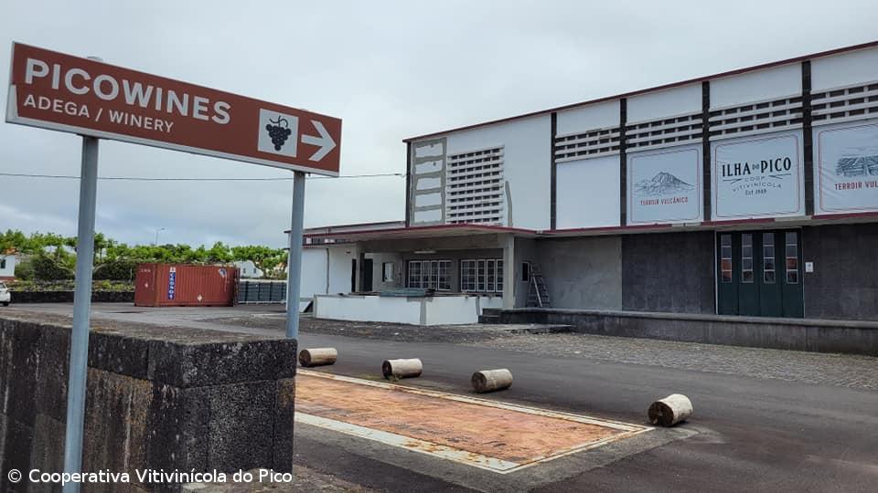 Açores com primeiro espumante certificado da Cooperativa Vitivinícola do Pico – Imagem 1