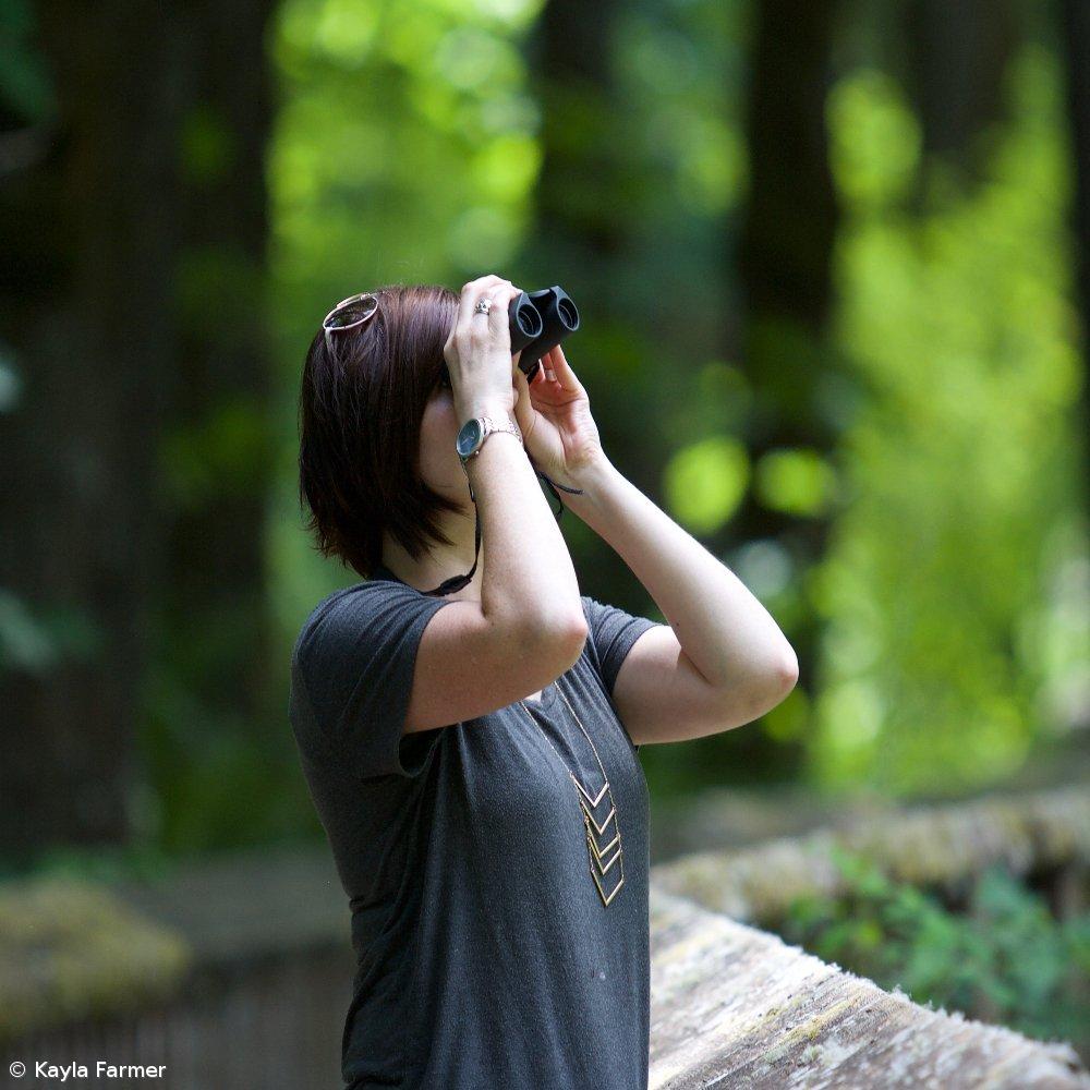 Observação de aves dinamiza turismo na pequena ilha do Corvo – Imagem 1