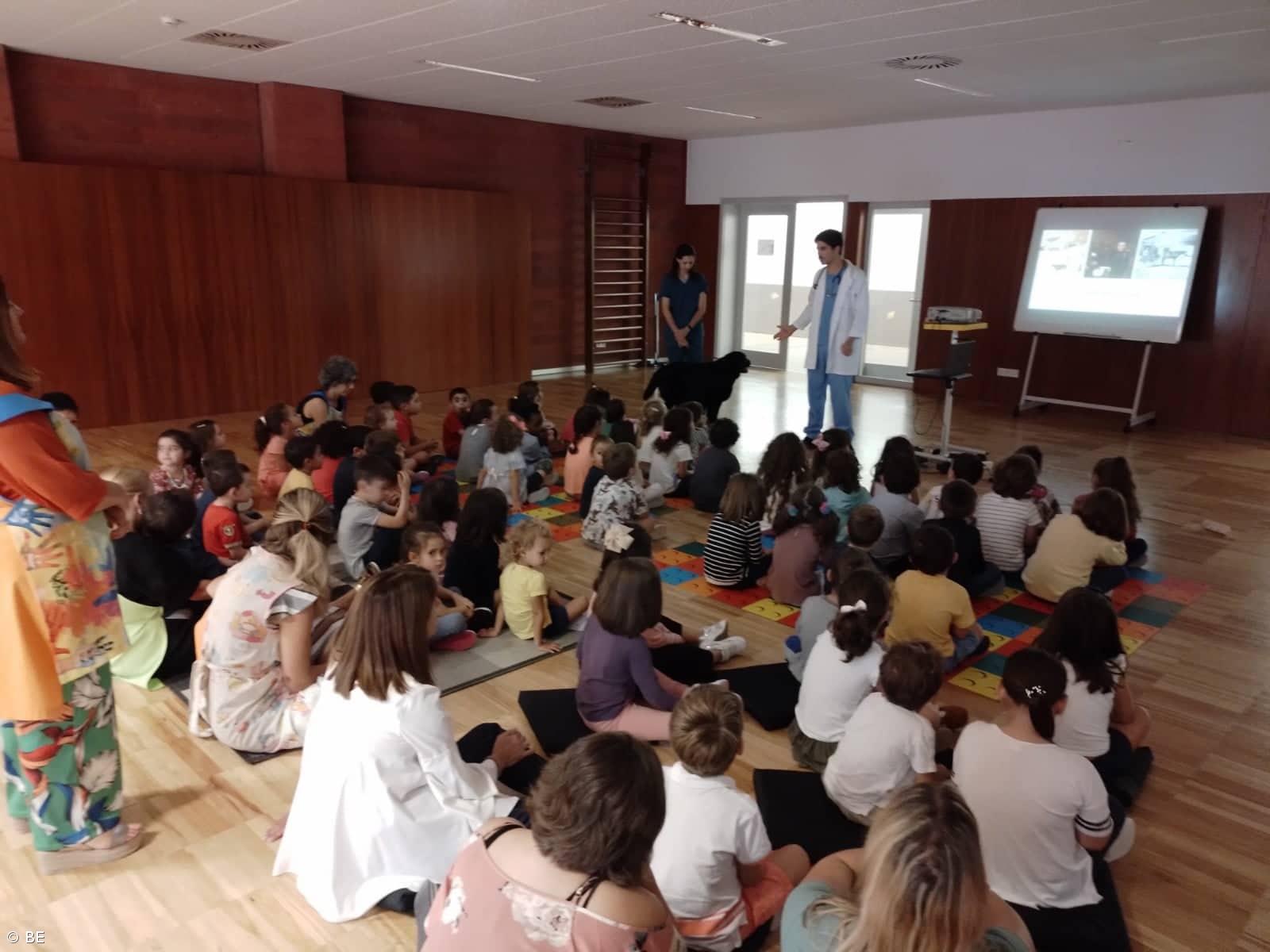 "Bem-estar animal" – Imagem 4