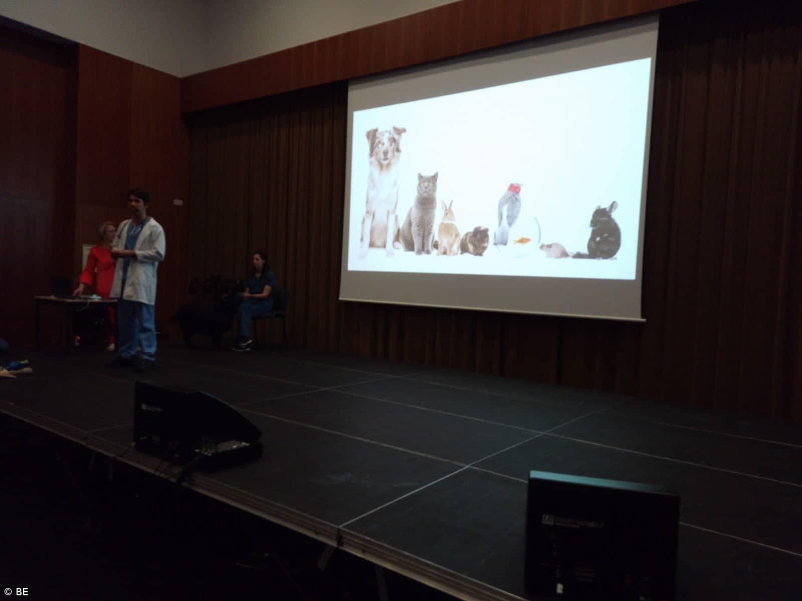 "Bem-estar animal" – Imagem 6