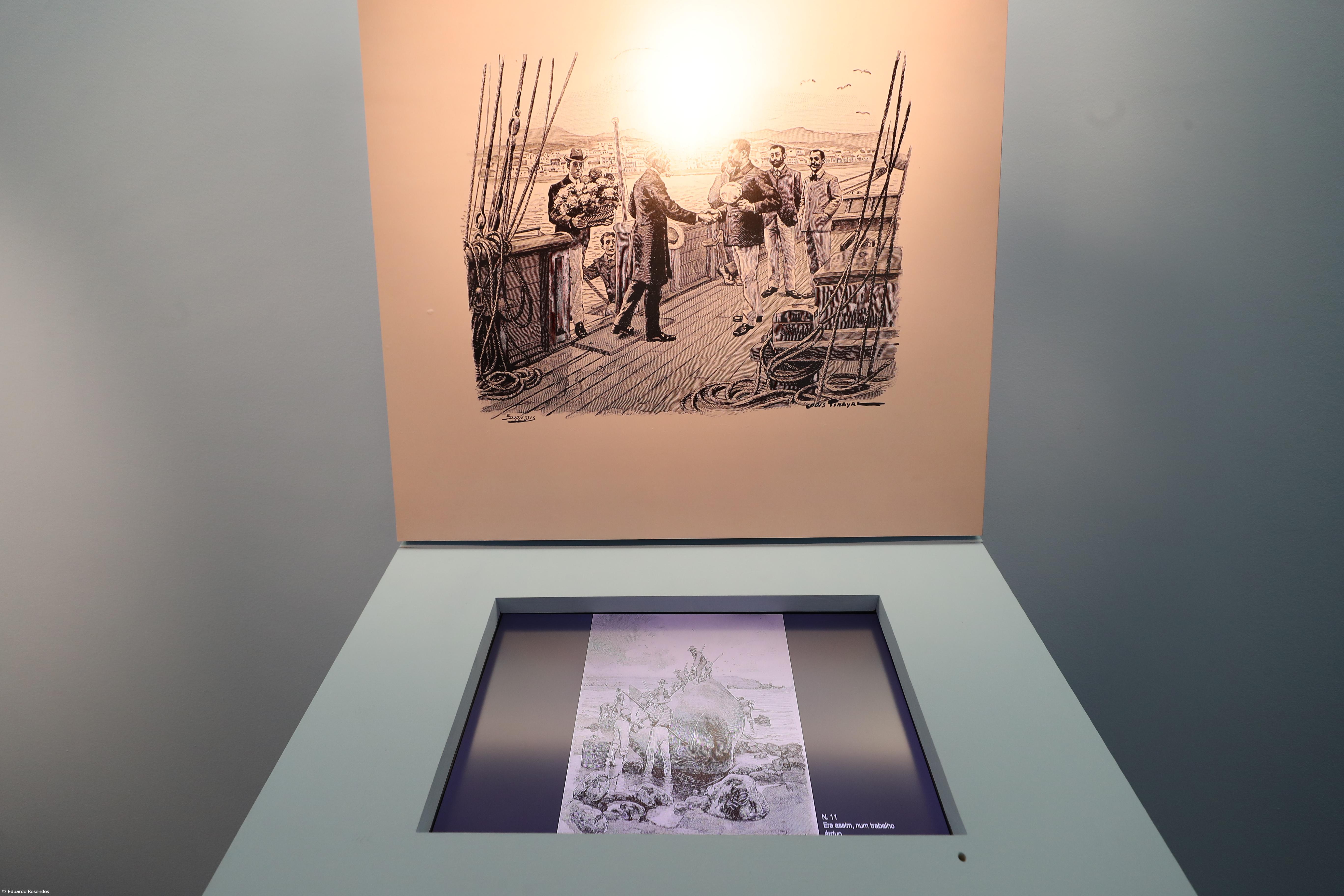 Museu dedica exposição ao Príncipe do Atlântico – Imagem 6