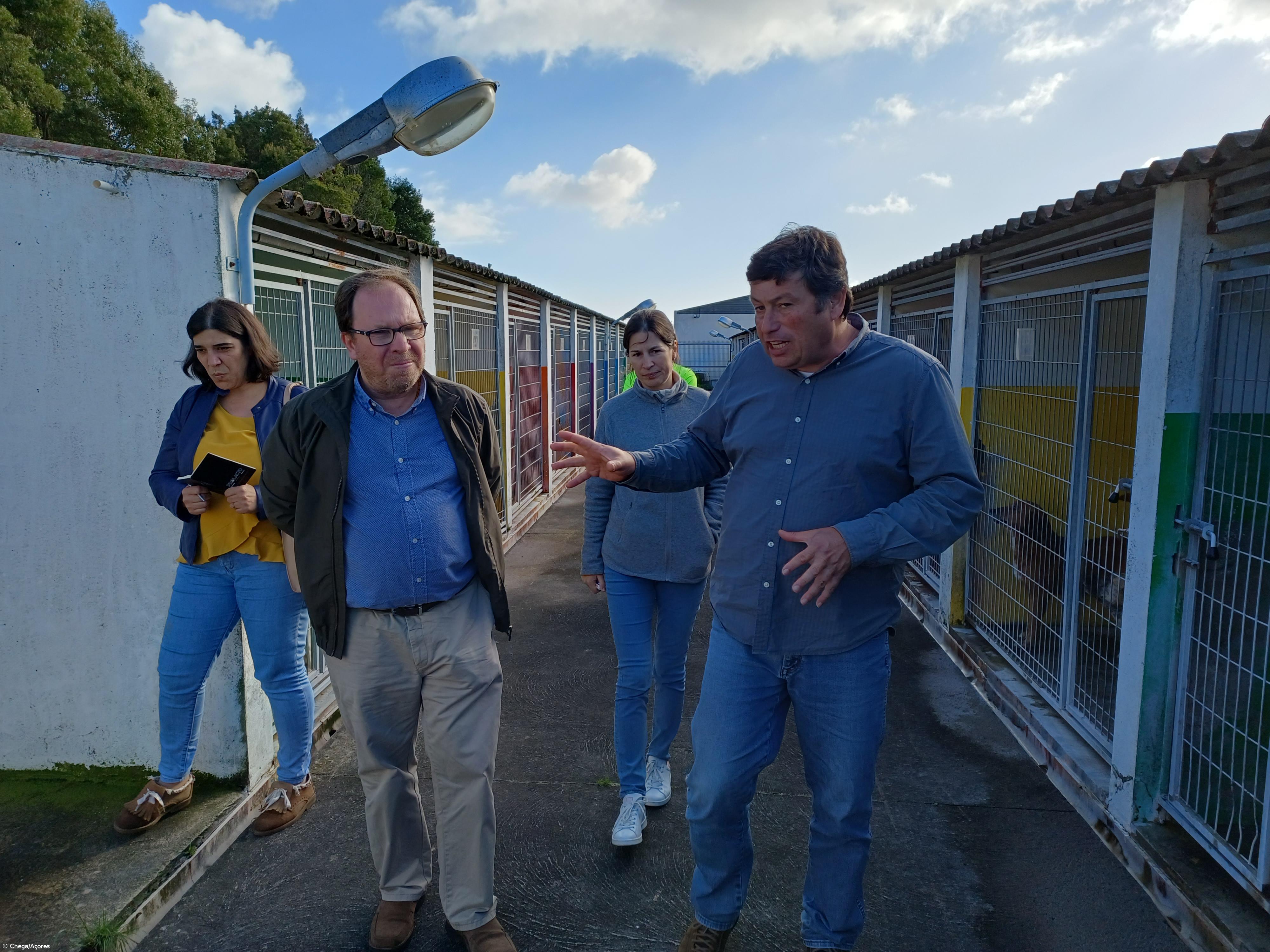 Chega/Açores quer ampliação dos centros de recolha de animais em 2023 – Imagem 1