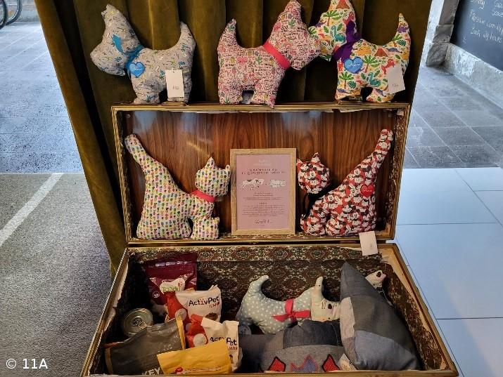 Turma do 11ºA ajuda os animais – Imagem 1