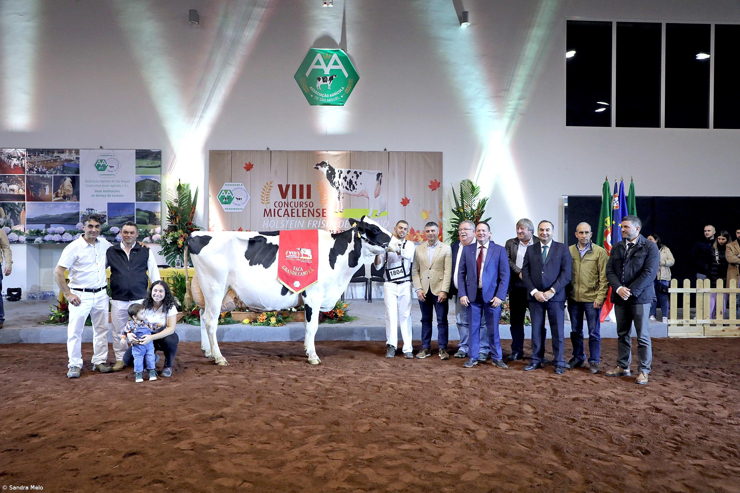 Exploração da Lomba da Maia com Vaca Campeã – Imagem 1