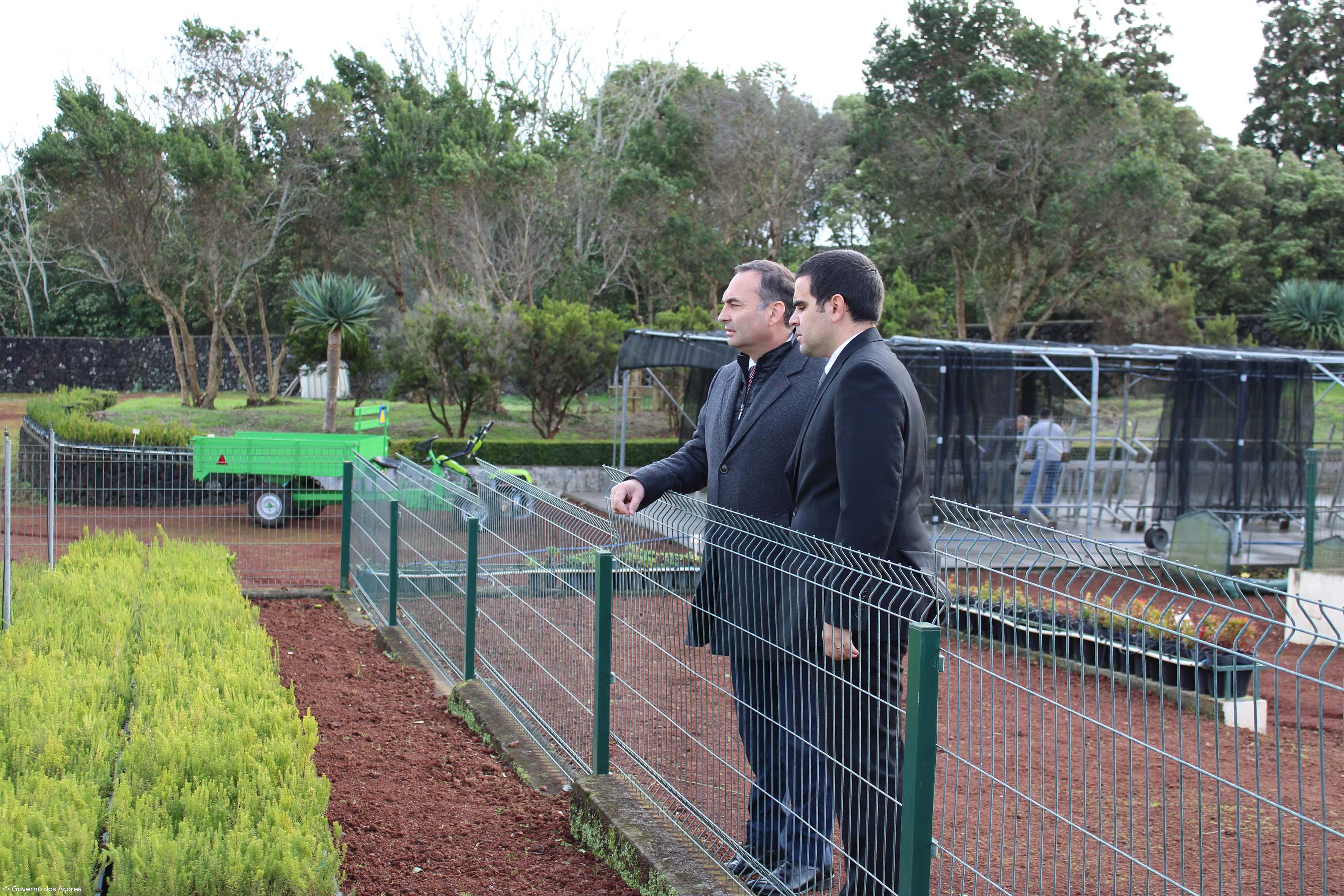 Viveiros florestais dos Açores produzem anualmente dois milhões de plantas – Imagem 1