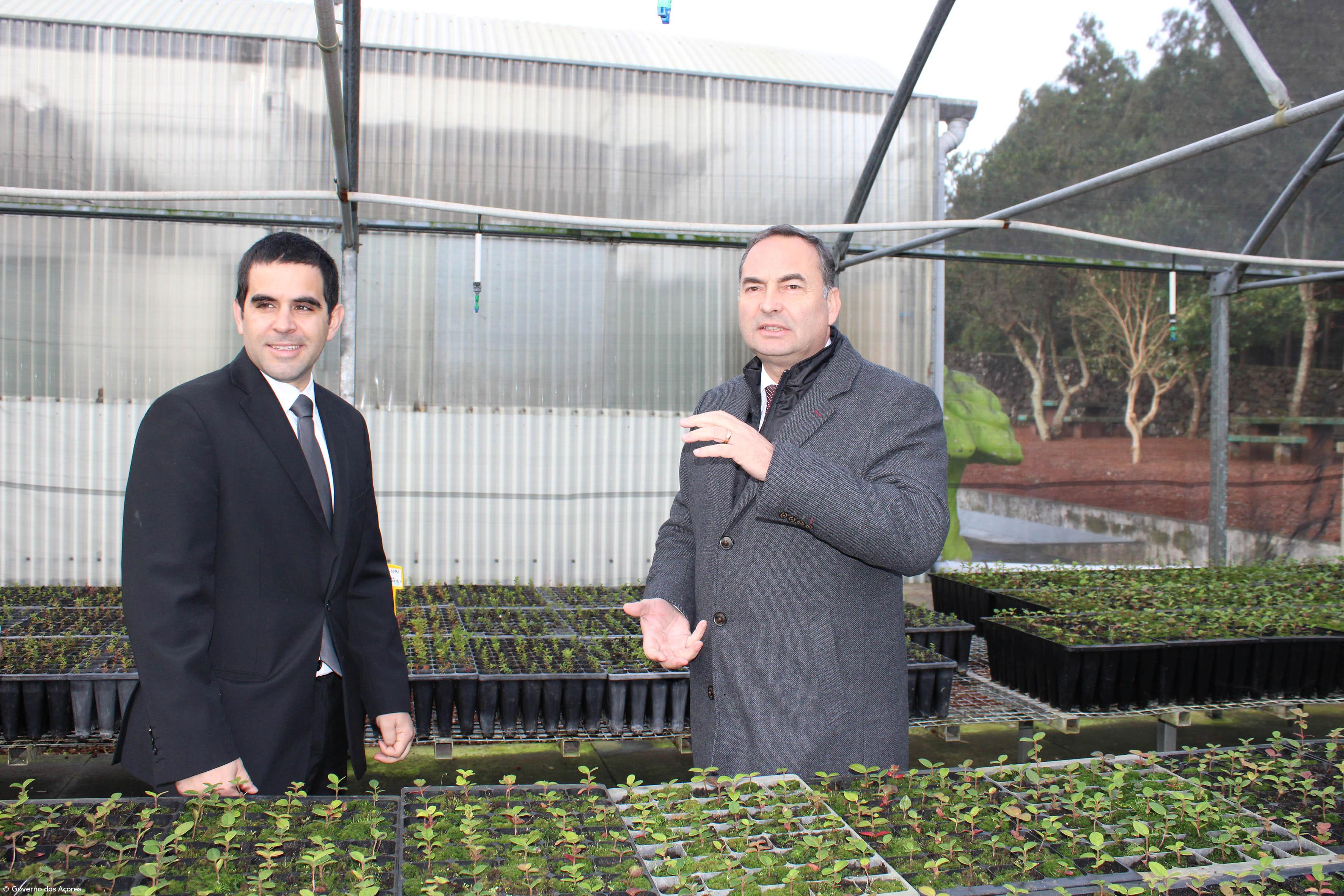 Viveiros florestais dos Açores produzem anualmente dois milhões de plantas – Imagem 2