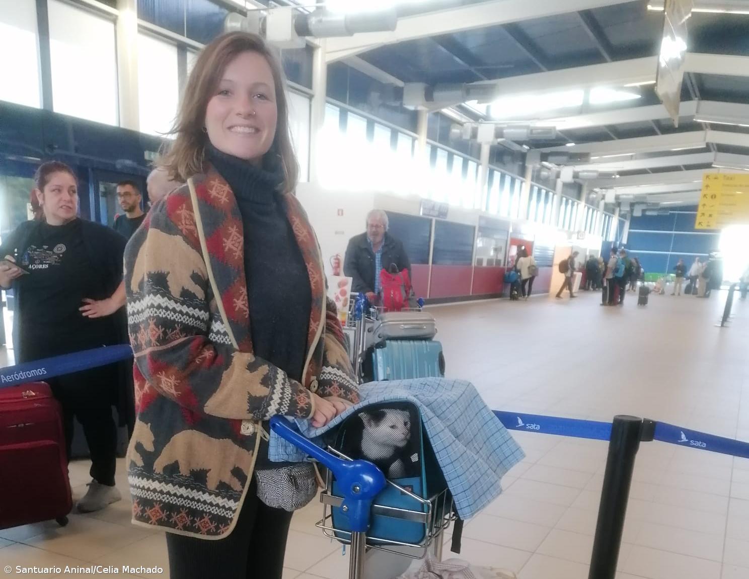 Paixão por bichos leva estrangeiras a criar o Santuário Animal do Pico – Imagem 2