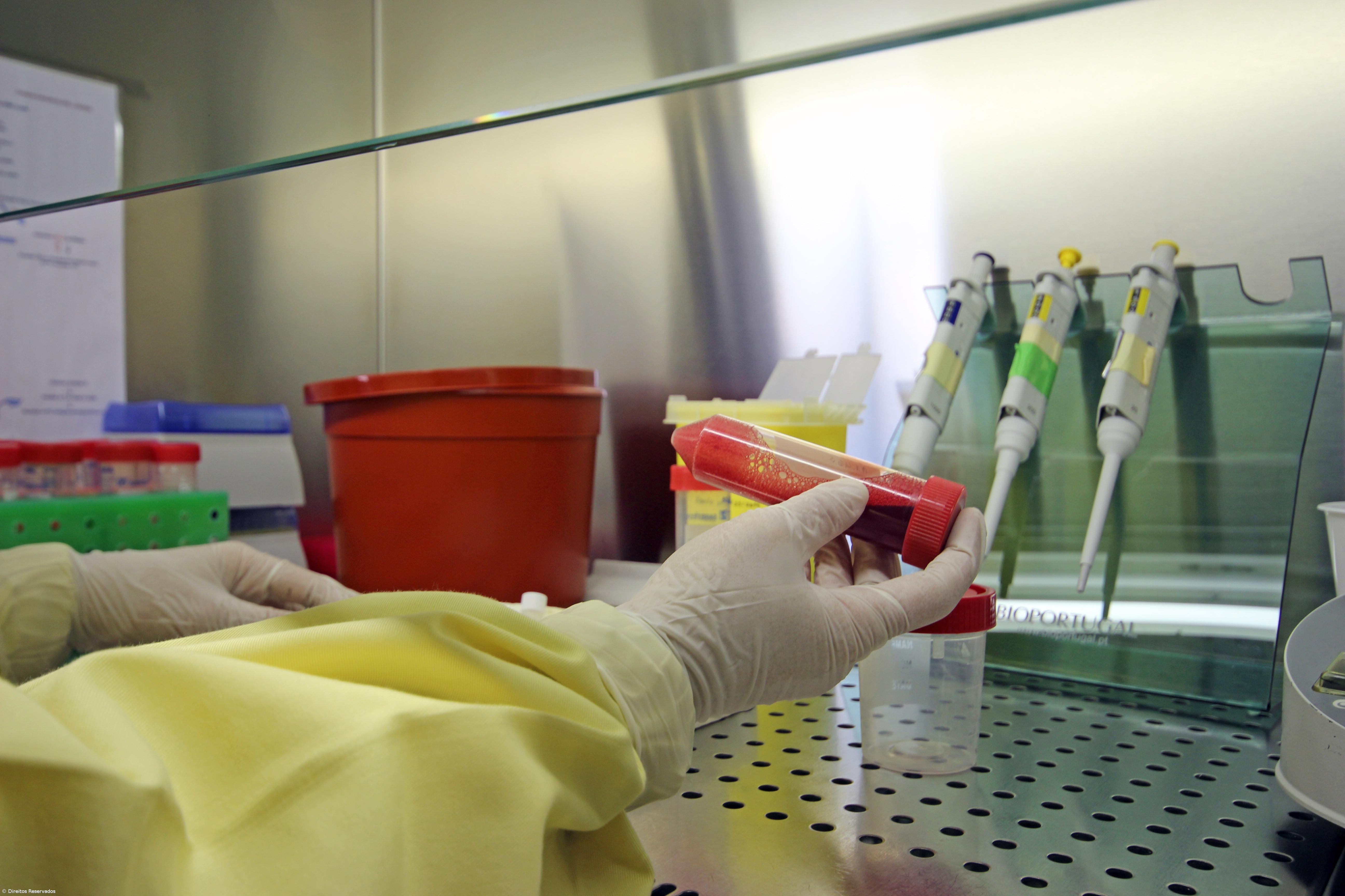 Direção executiva corrige números do Governo sobre cirurgias oncológicas – Imagem 1