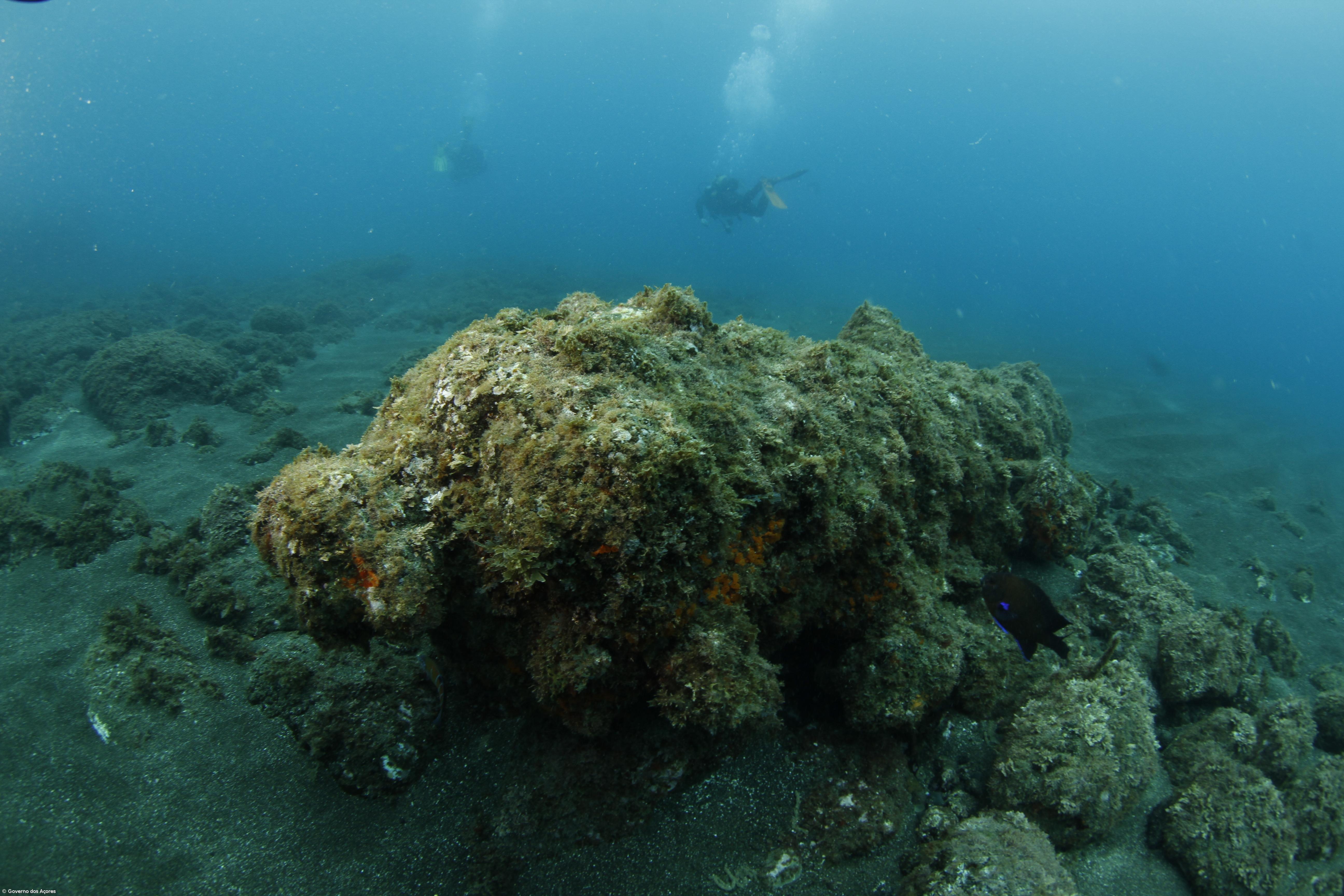 Projeto “Margullar 2” distinguido pela Associação Internacional para a Cooperação Turística – Imagem 1