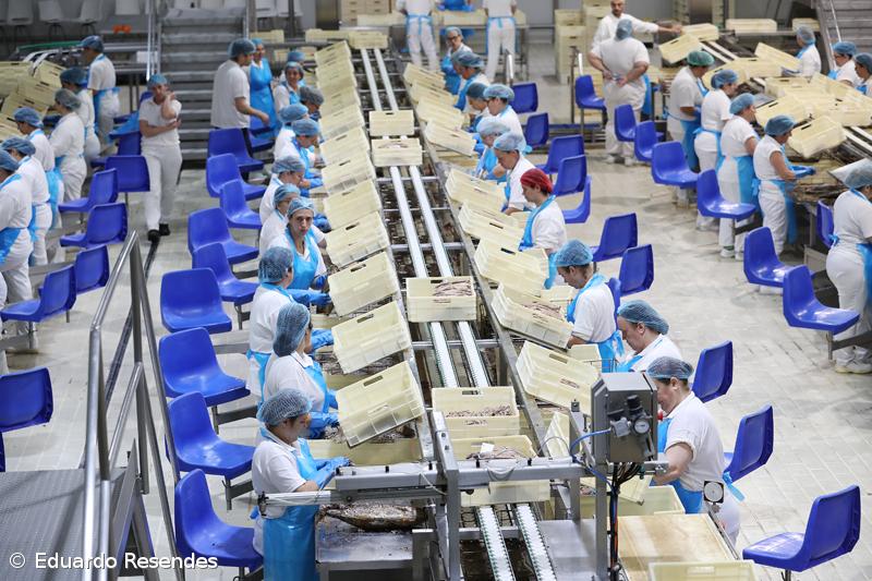 Trabalhadoras da Cofaco manifestam-se amanhã em Ponta Delgada – Imagem 1