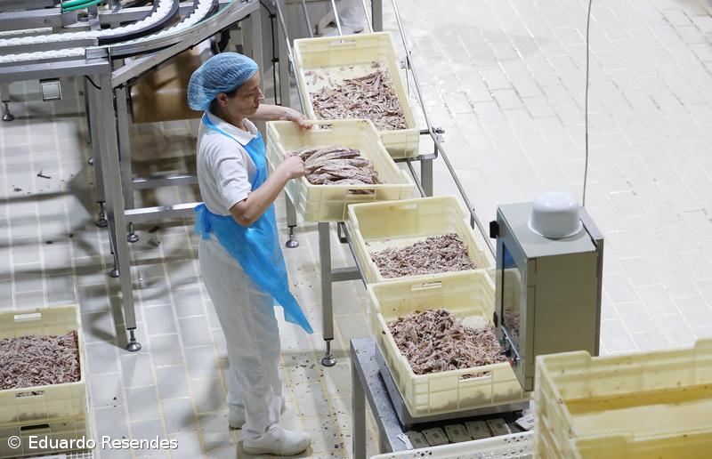 Indústria apreensiva com crise no setor do atum nos Açores – Imagem 1