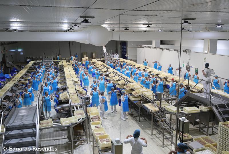 Conserveiras estão desde 2021 sem receber o apoio POSEI – Imagem 1