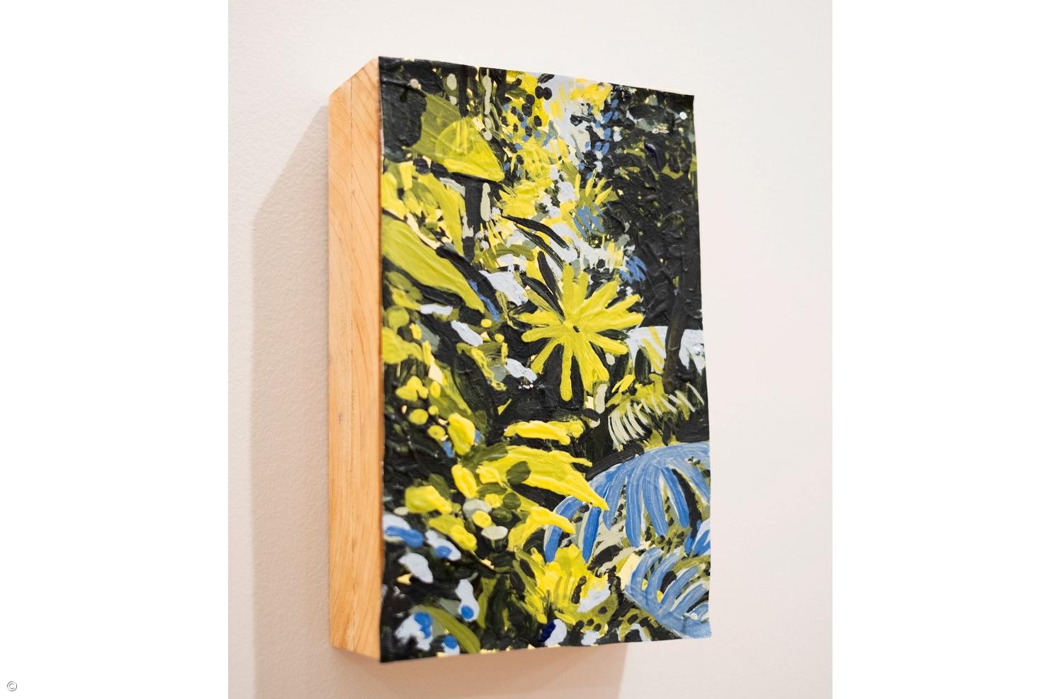 "um herbário plantas por nascer" de Margarida Andrade – Imagem 1