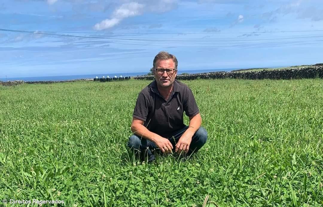 Conversion to organic milk production can be "cost effective” – Imagem 1