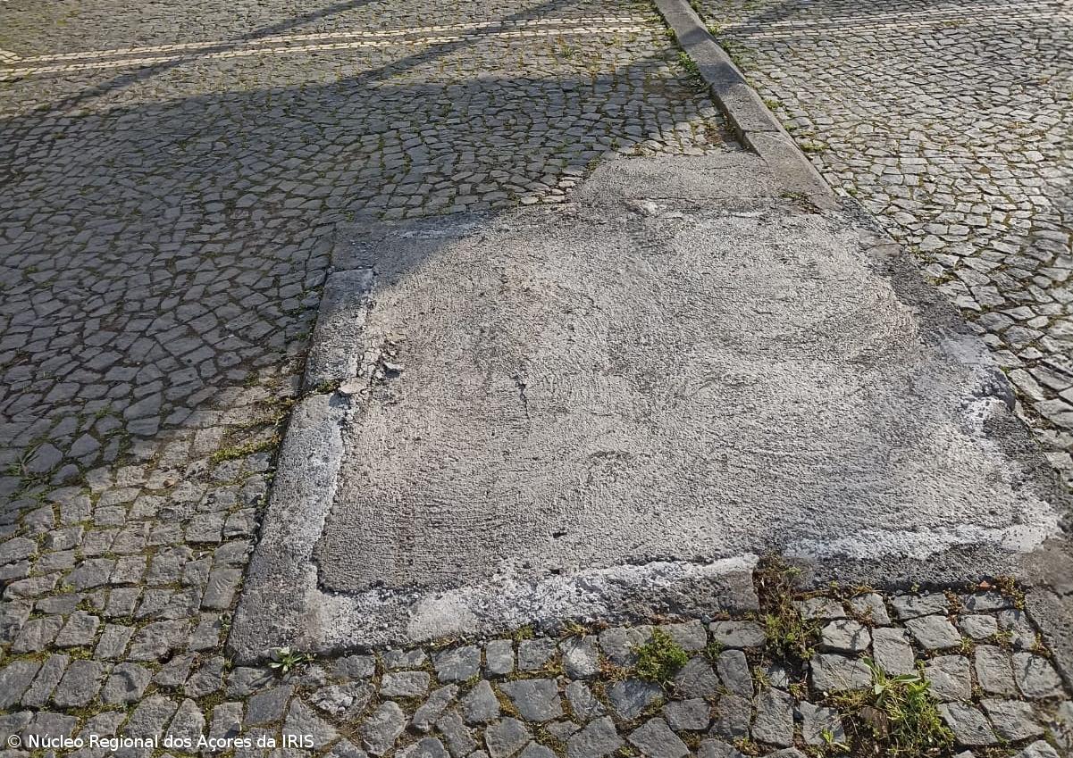Amigos dos Açores dizem não ter dado parecer positivo a abate de árvores – Imagem 1