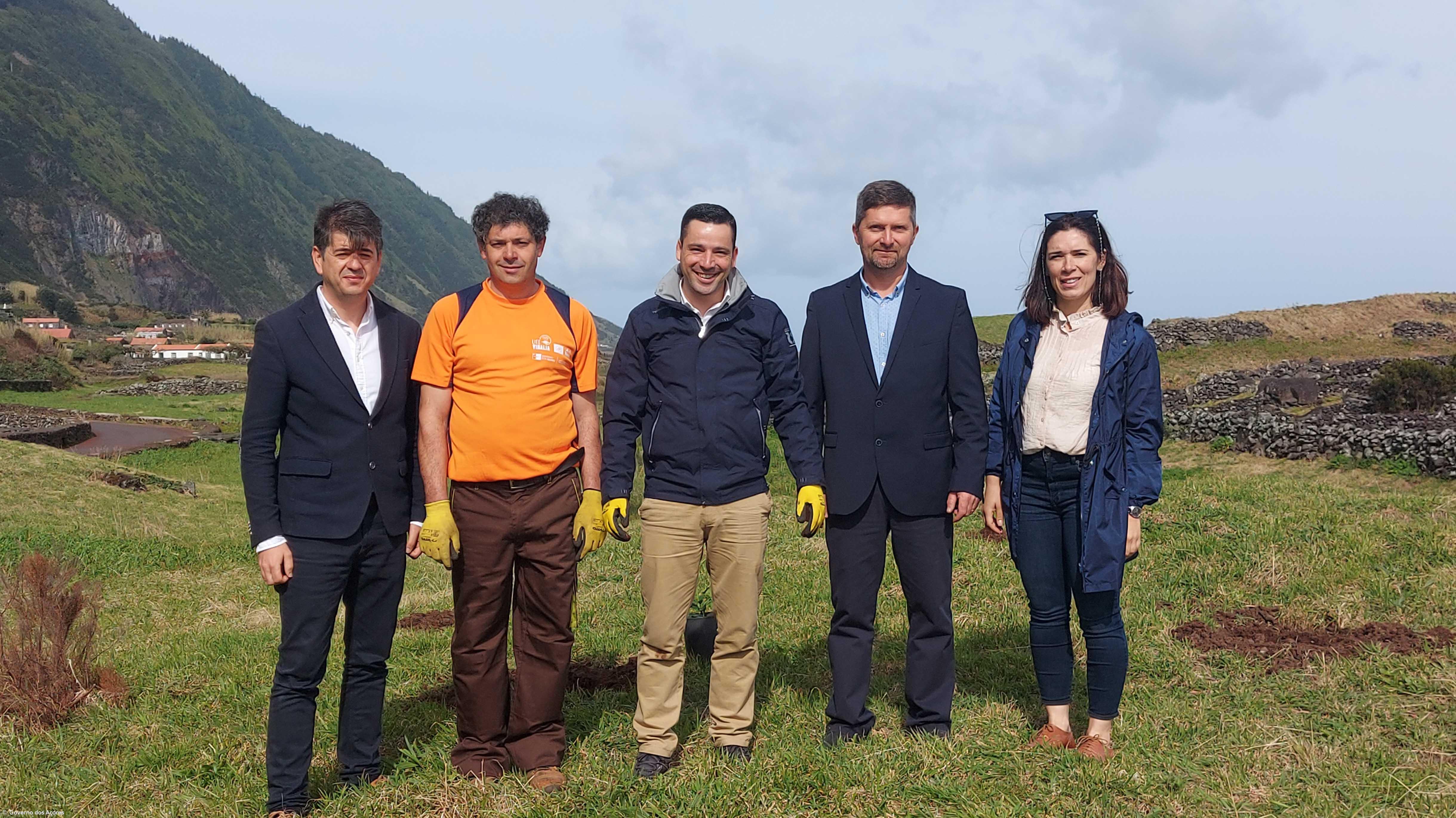 Dia Mundial da Árvore assinalado  com plantação de espécies endémicas na Fajã dos Cubres – Imagem 1