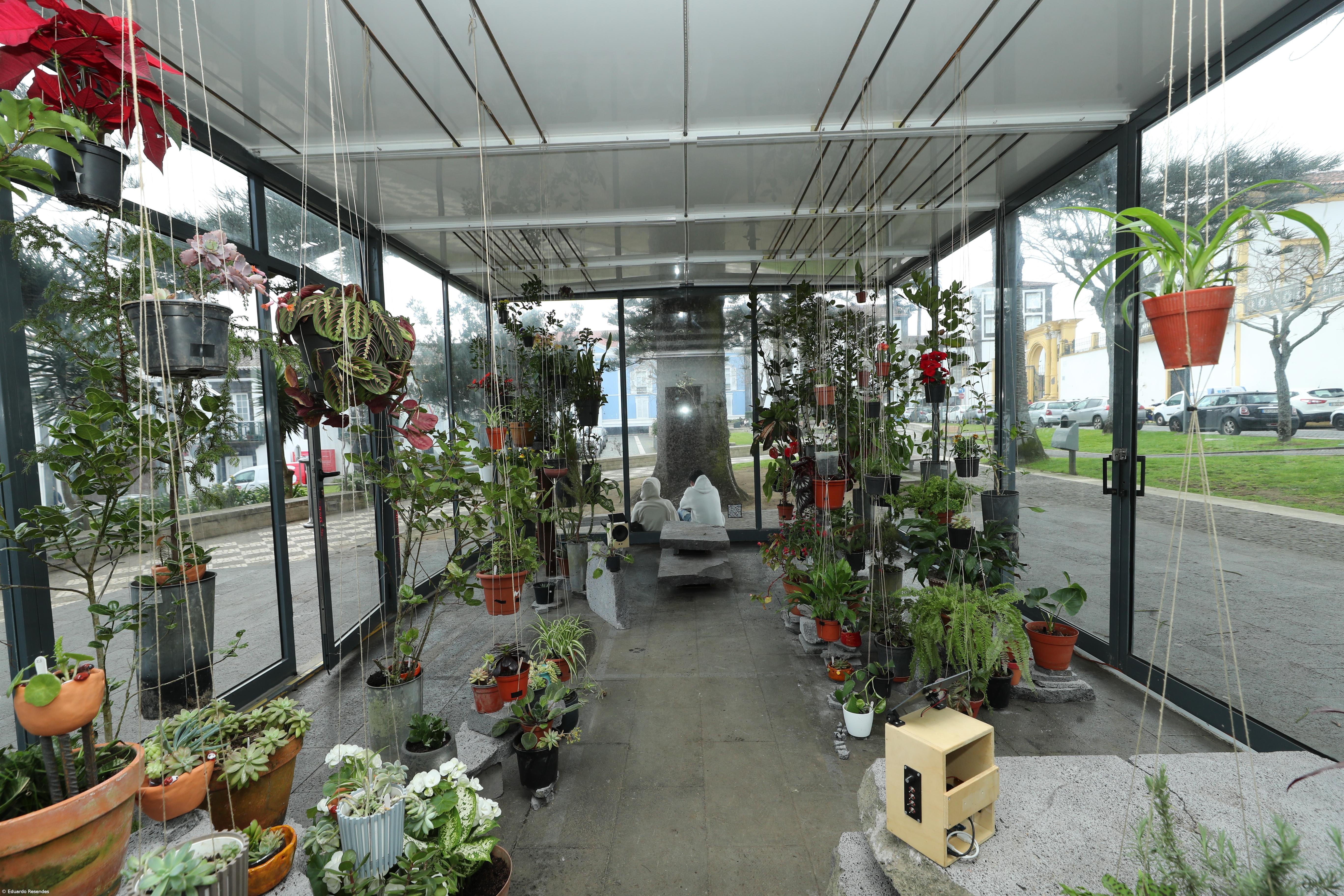 Bioinstalação revitaliza espaço em Ponta Delgada – Imagem 2