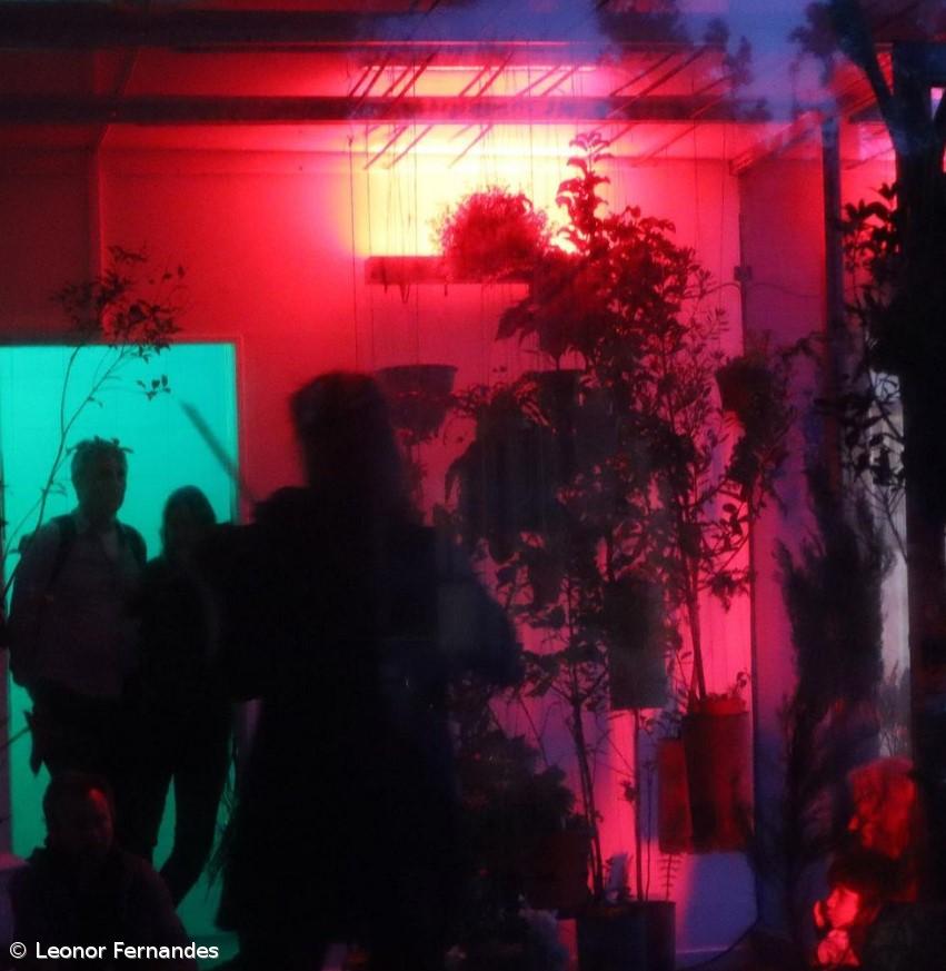 O Quiosque em frente ao «Liceu» foi palco de uma cocriação com a comunidade durante o festival Tremor. – Imagem 3