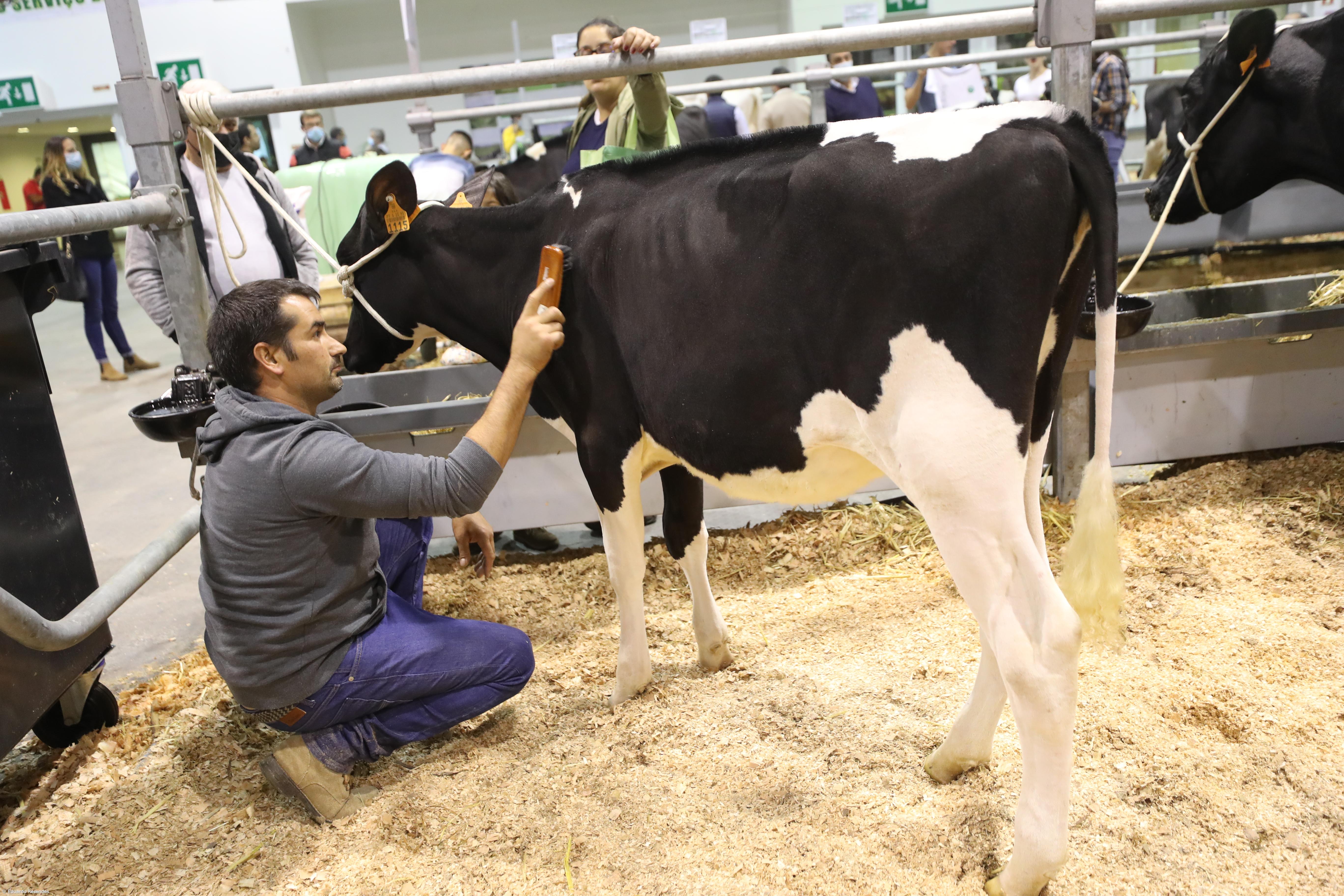 Curso de Preparadores de animais bate recorde de participantes – Imagem 1