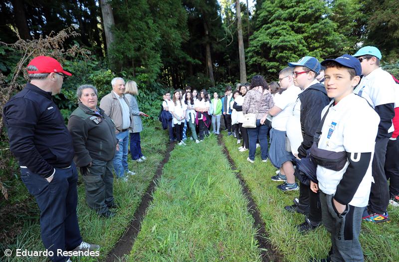 188 árvores endémicas plantadas nos 188 anos do Açoriano Oriental – Imagem 5
