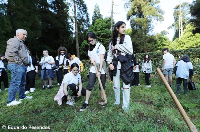 188 árvores endémicas plantadas nos 188 anos do Açoriano Oriental – Imagem 12