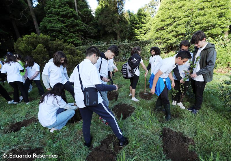 188 árvores endémicas plantadas nos 188 anos do Açoriano Oriental – Imagem 11