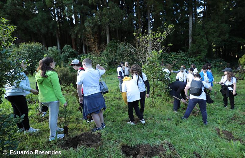 188 árvores endémicas plantadas nos 188 anos do Açoriano Oriental – Imagem 14