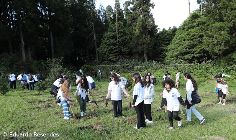 188 árvores endémicas plantadas nos 188 anos do Açoriano Oriental – Imagem 16