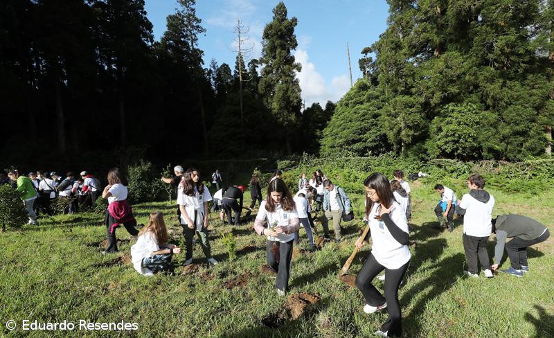 188 árvores endémicas plantadas nos 188 anos do Açoriano Oriental – Imagem 15