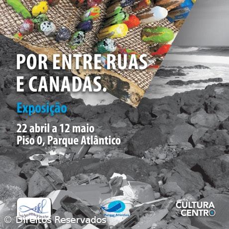 Parque Atlântico acolhe exposição ambiental – Imagem 1