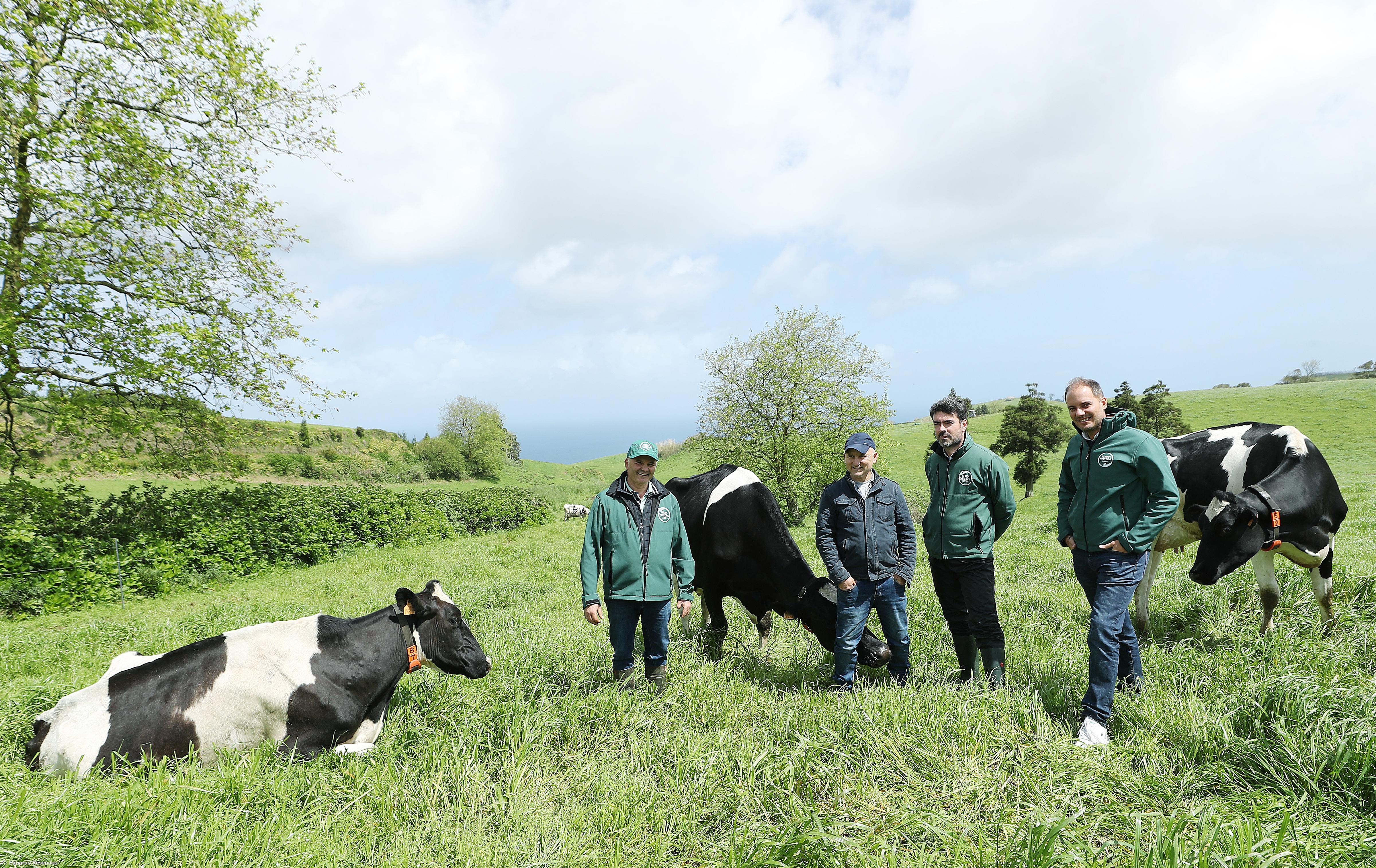 BEL com projeto-piloto de agricultura regenerativa – Imagem 5