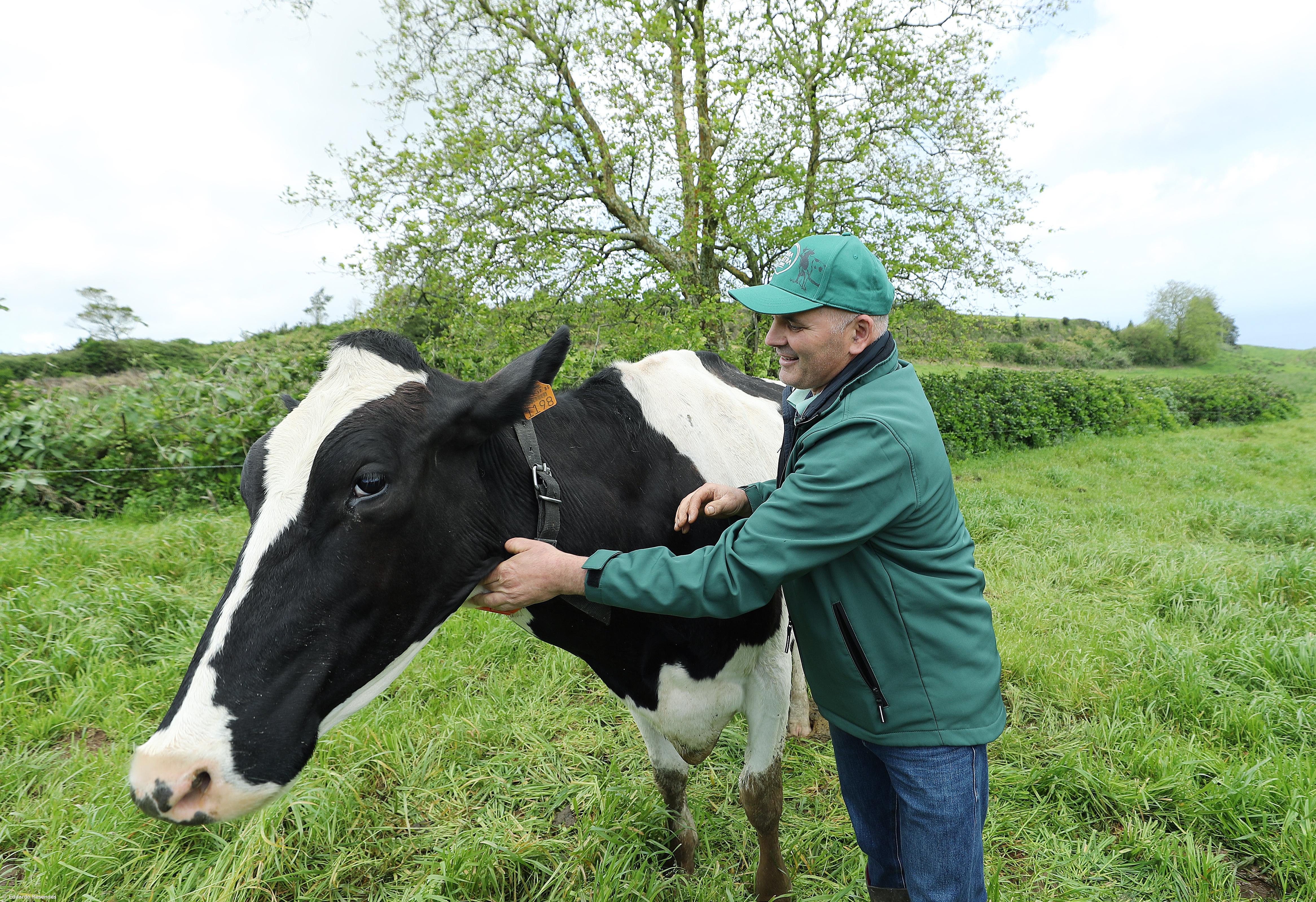 BEL com projeto-piloto de agricultura regenerativa – Imagem 3
