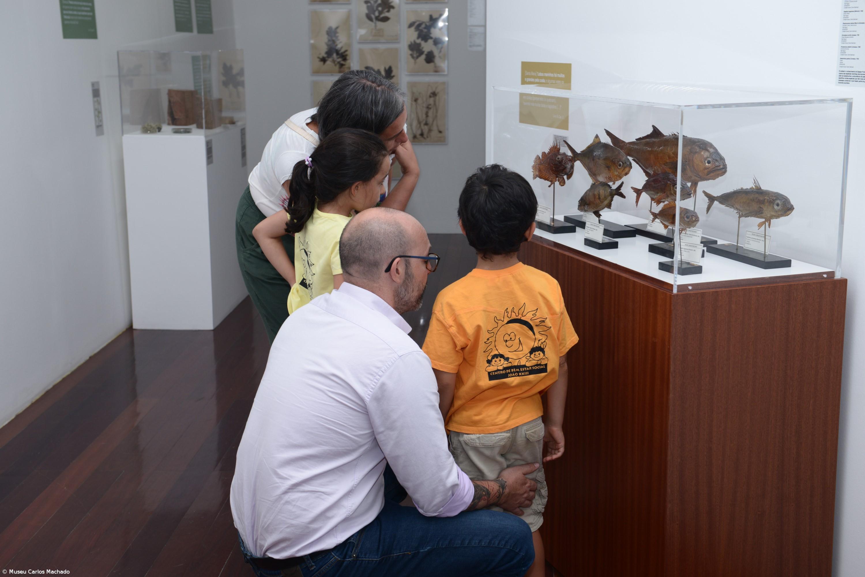 Sustentabilidade dos museus depende de “esforço coletivo” – Imagem 1