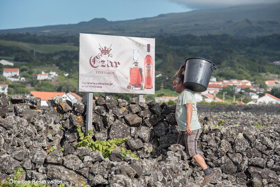 Último “Czar” do século XX à venda no primeiro trimestre de 2024 – Imagem 1