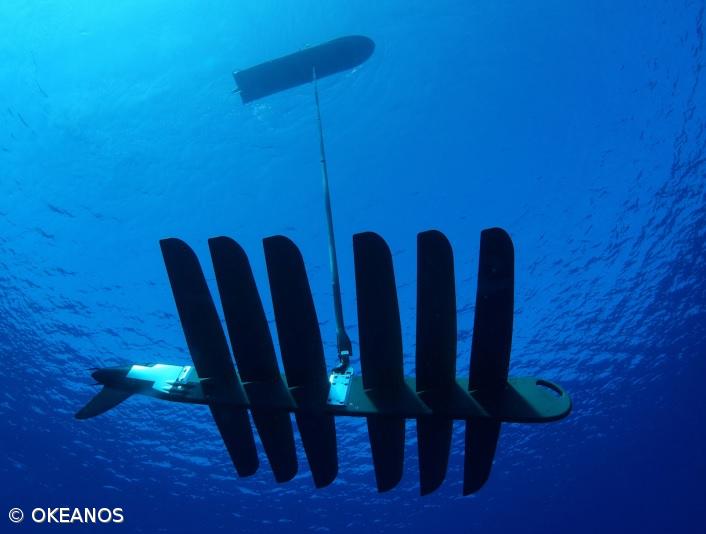 Planador lançado nos Açores vai mapear o oceano Atlântico – Imagem 1