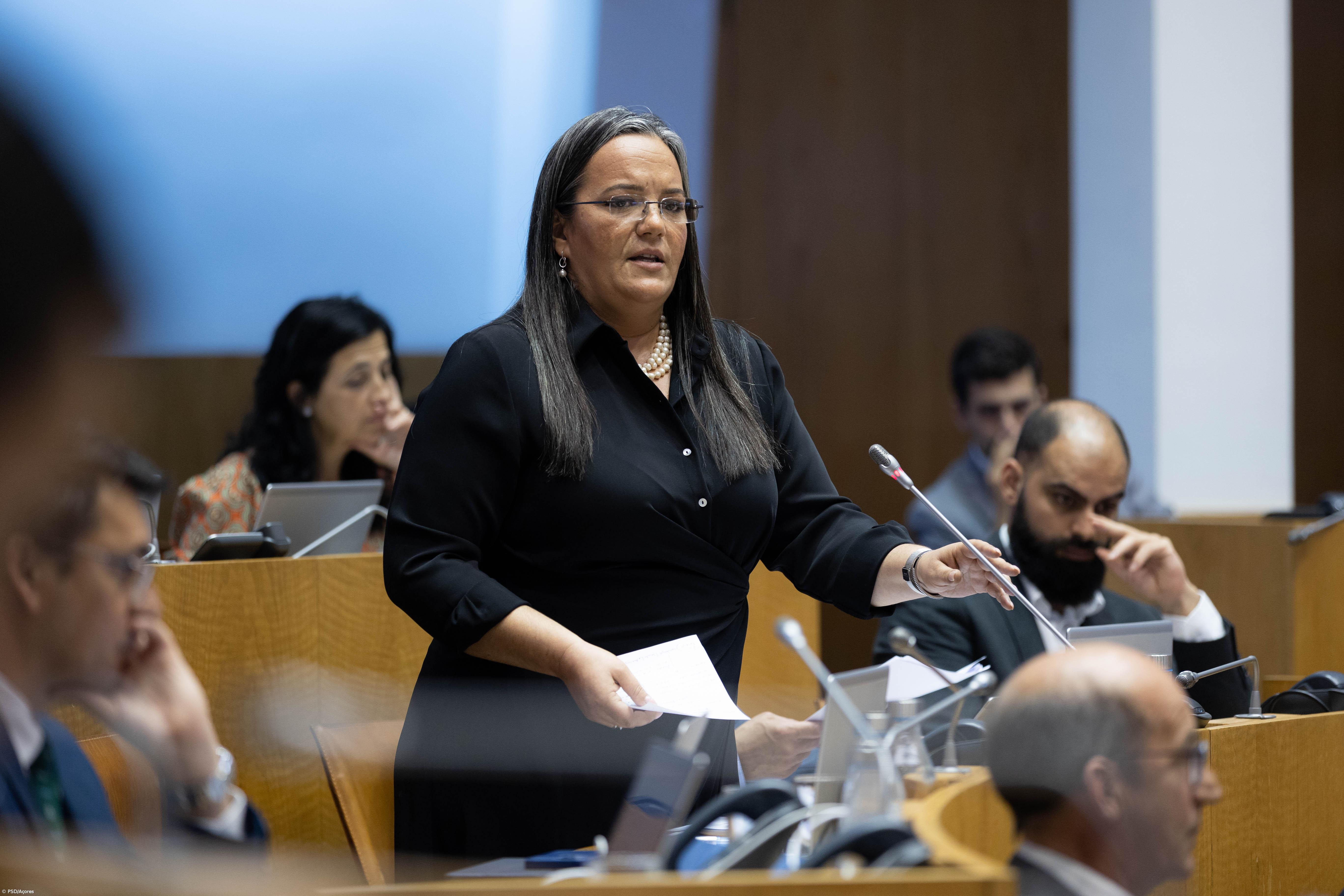 PSD defende que novo sistema de incentivos dos Açores “combate o despovoamento” – Imagem 1