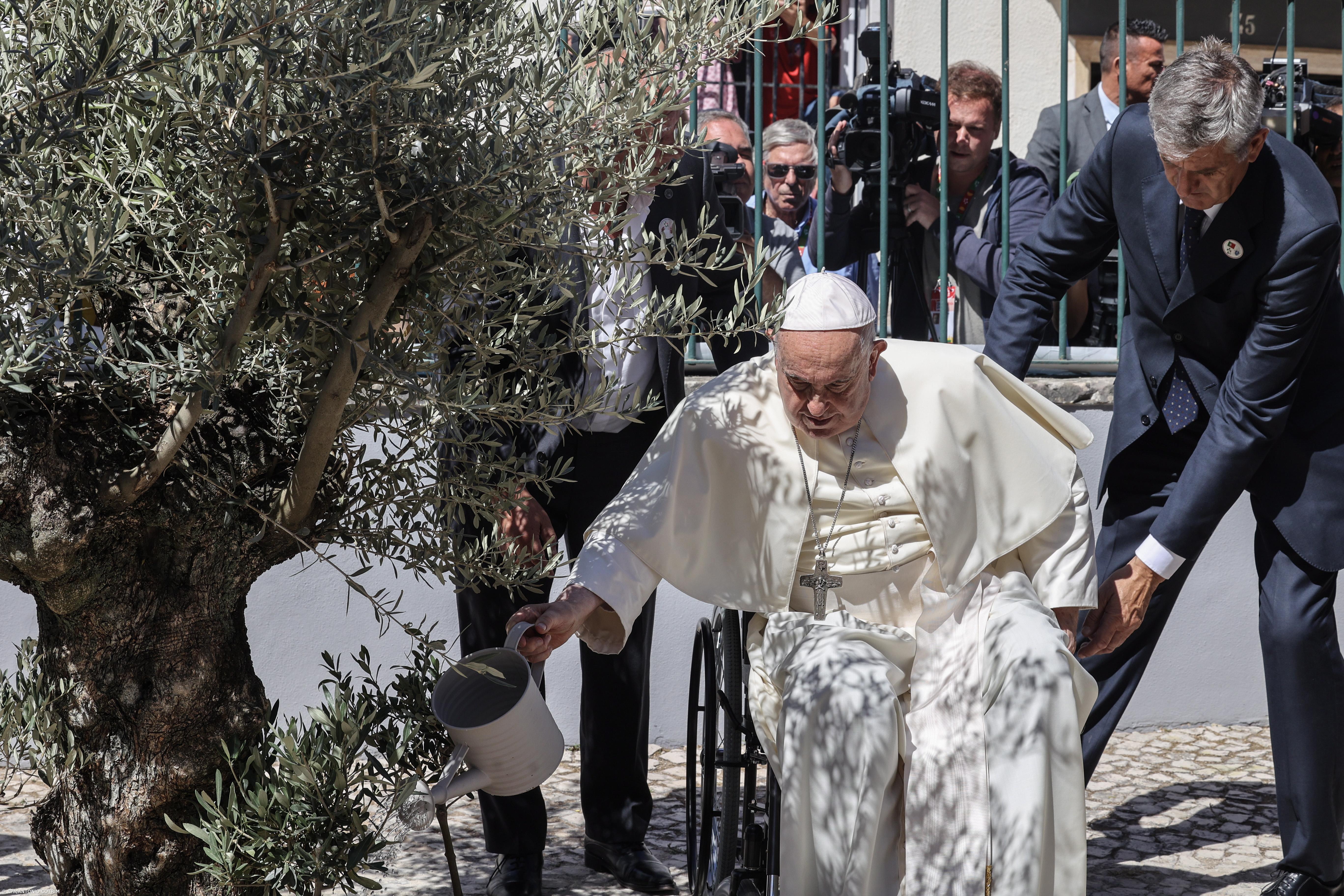Francisco assinou uma bola de trapos e regou uma oliveira em Cascais – Imagem 1