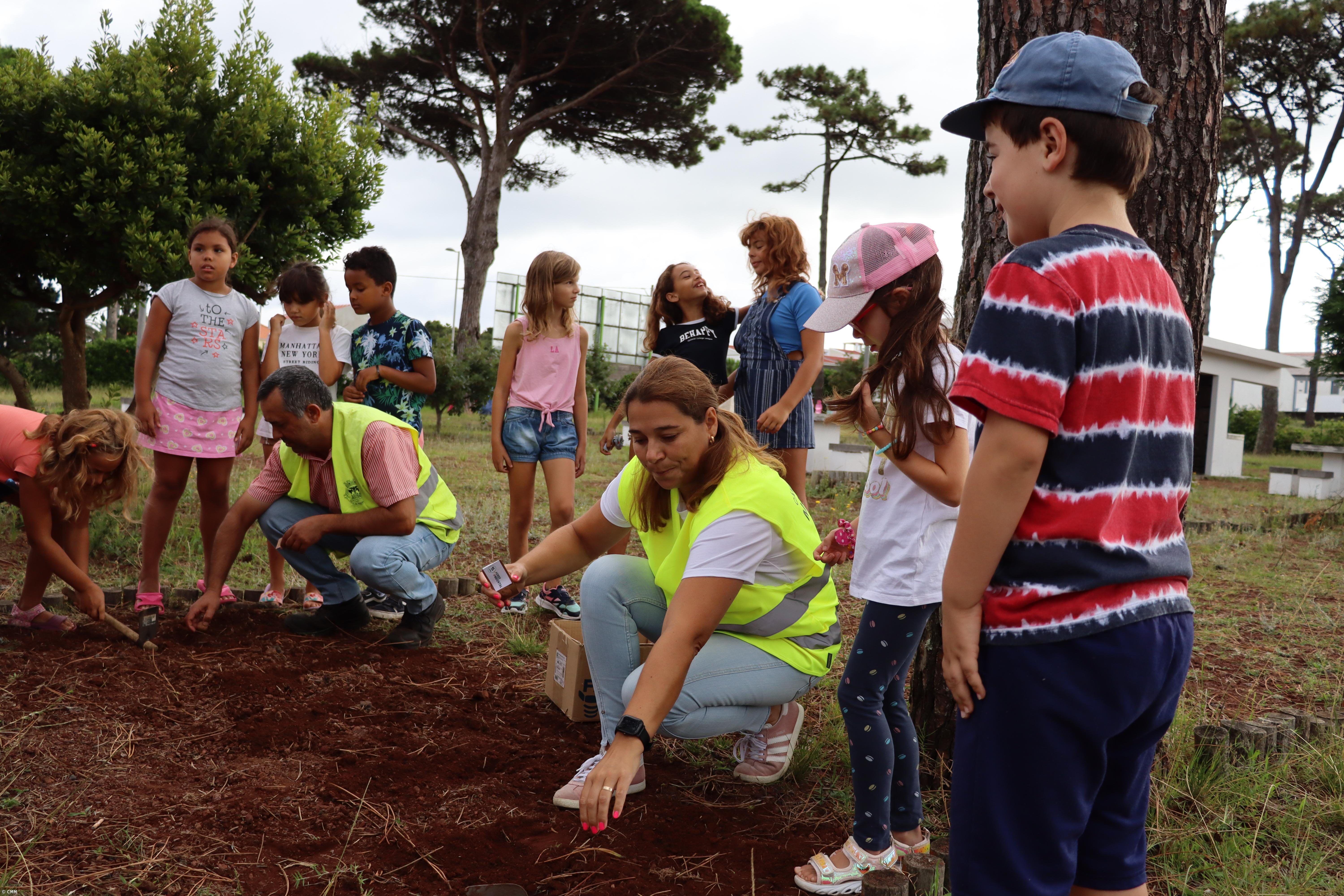 Madalena investe na reflorestação e Educação Ambiental – Imagem 1