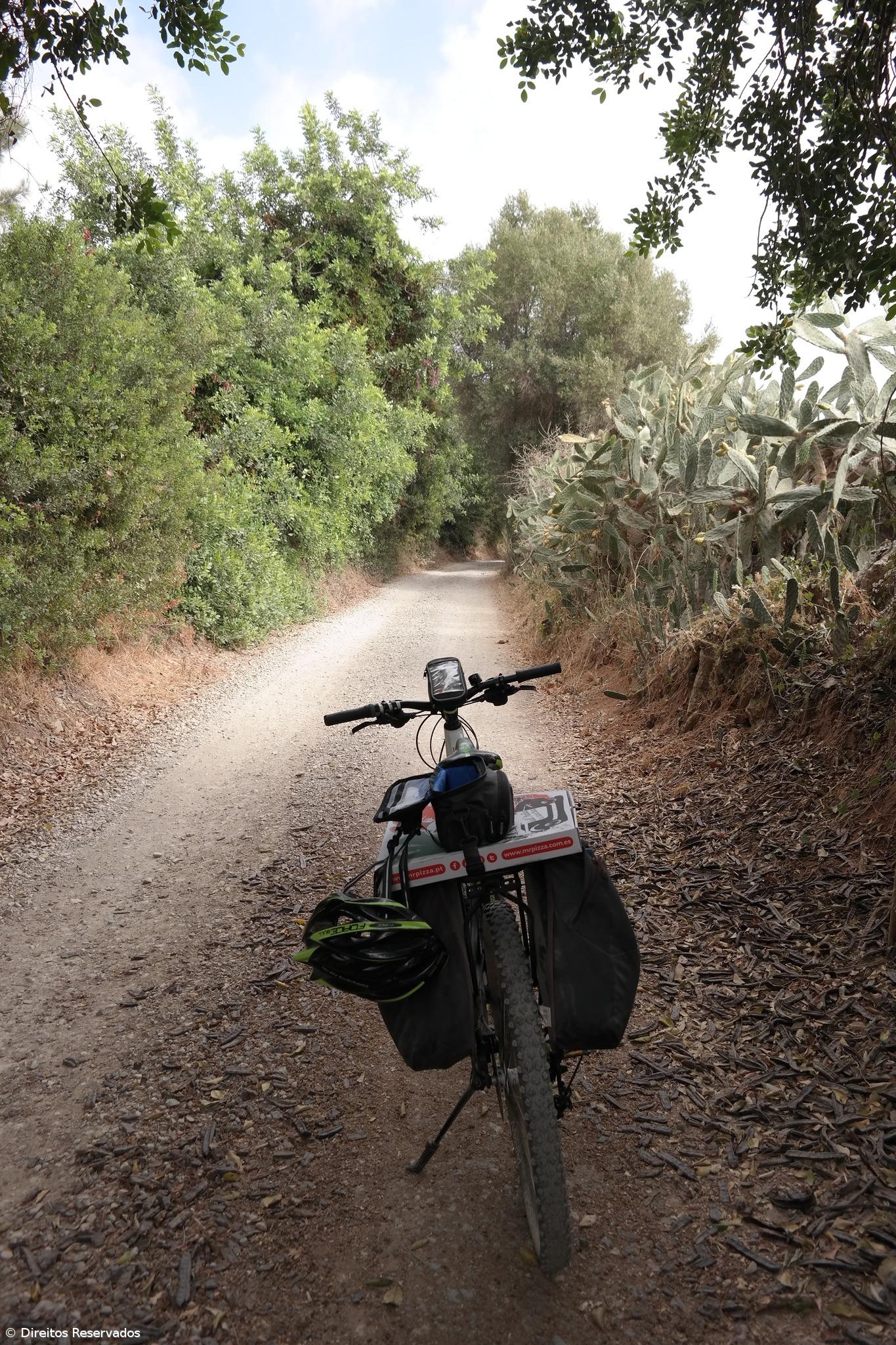 Ilhas açorianas percorridas de bicicleta – Imagem 1