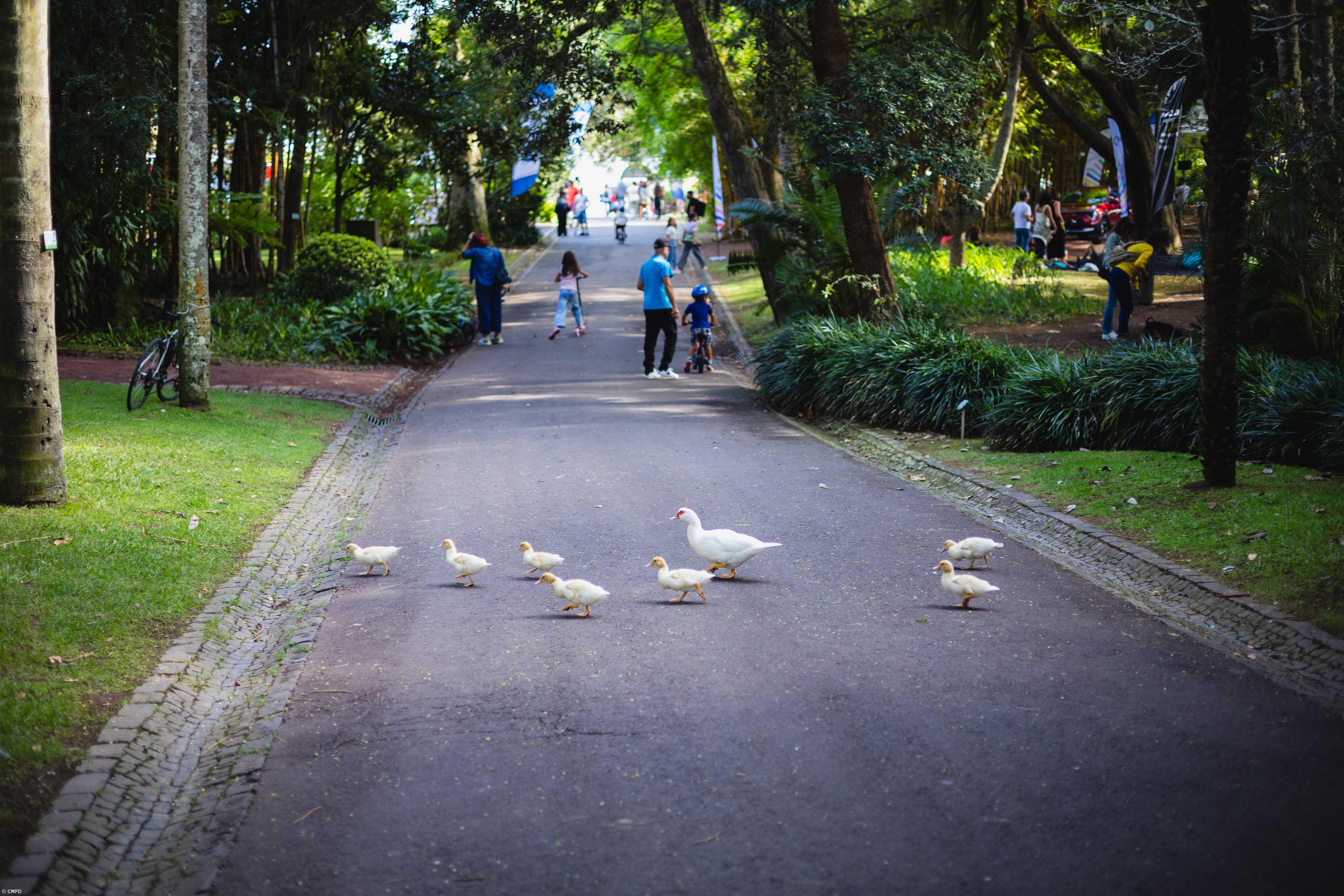 Parque infantil do Jardim António Borges encerra de amanhã a domingo – Imagem 1