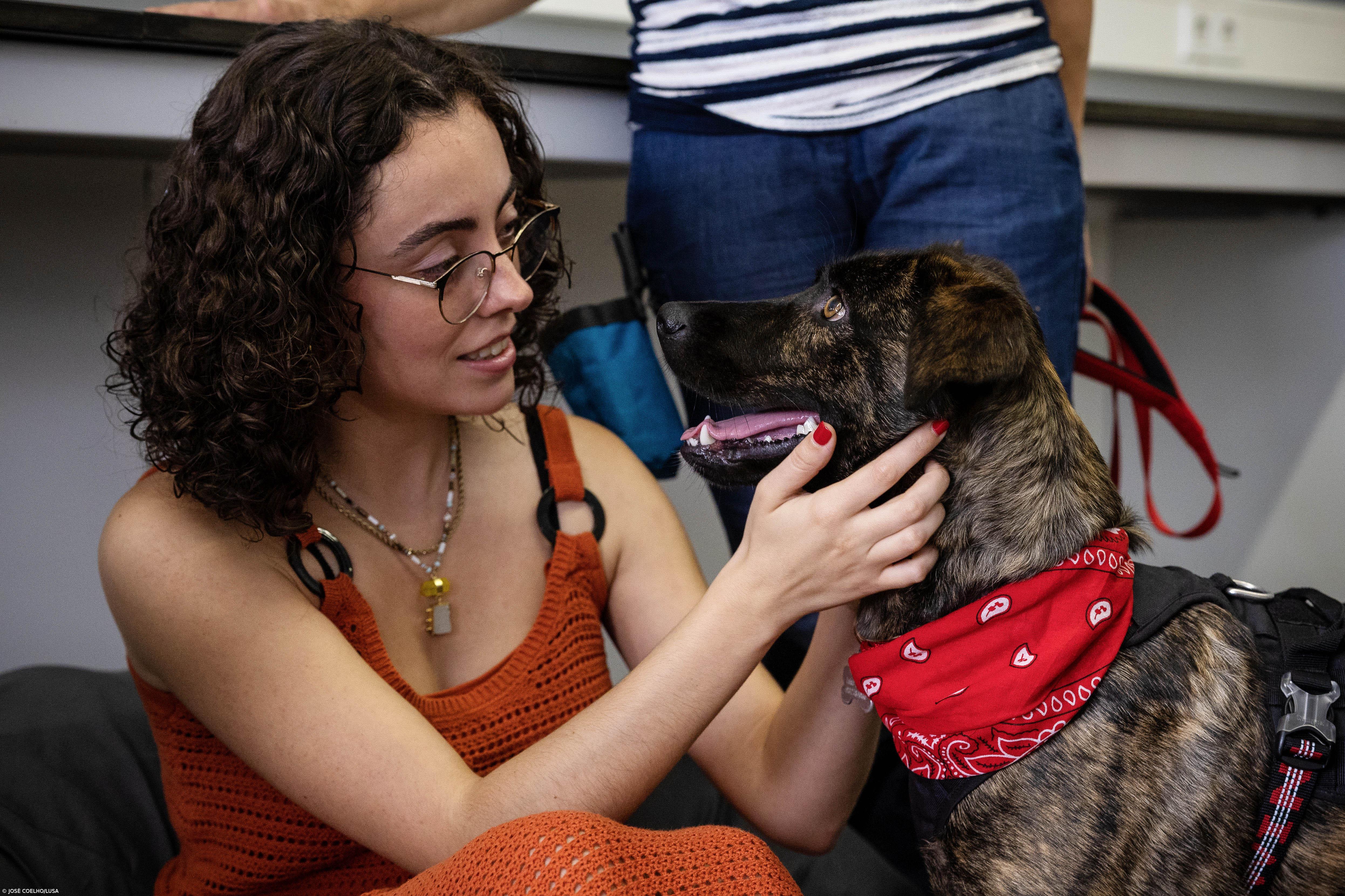 Cadela Lola estreia apoio a universitários para prevenir doença mental  – Imagem 2