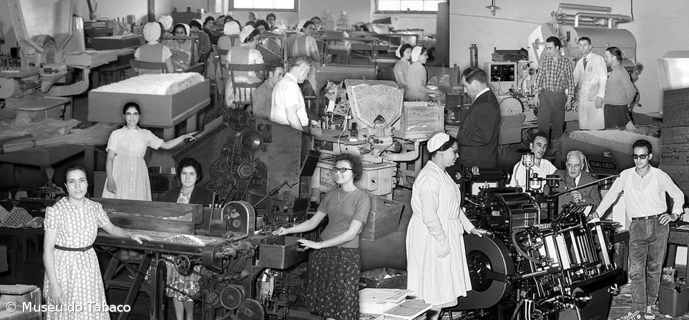 Museu do Tabaco inaugura exposição "Da folha ao produto final" – Imagem 1