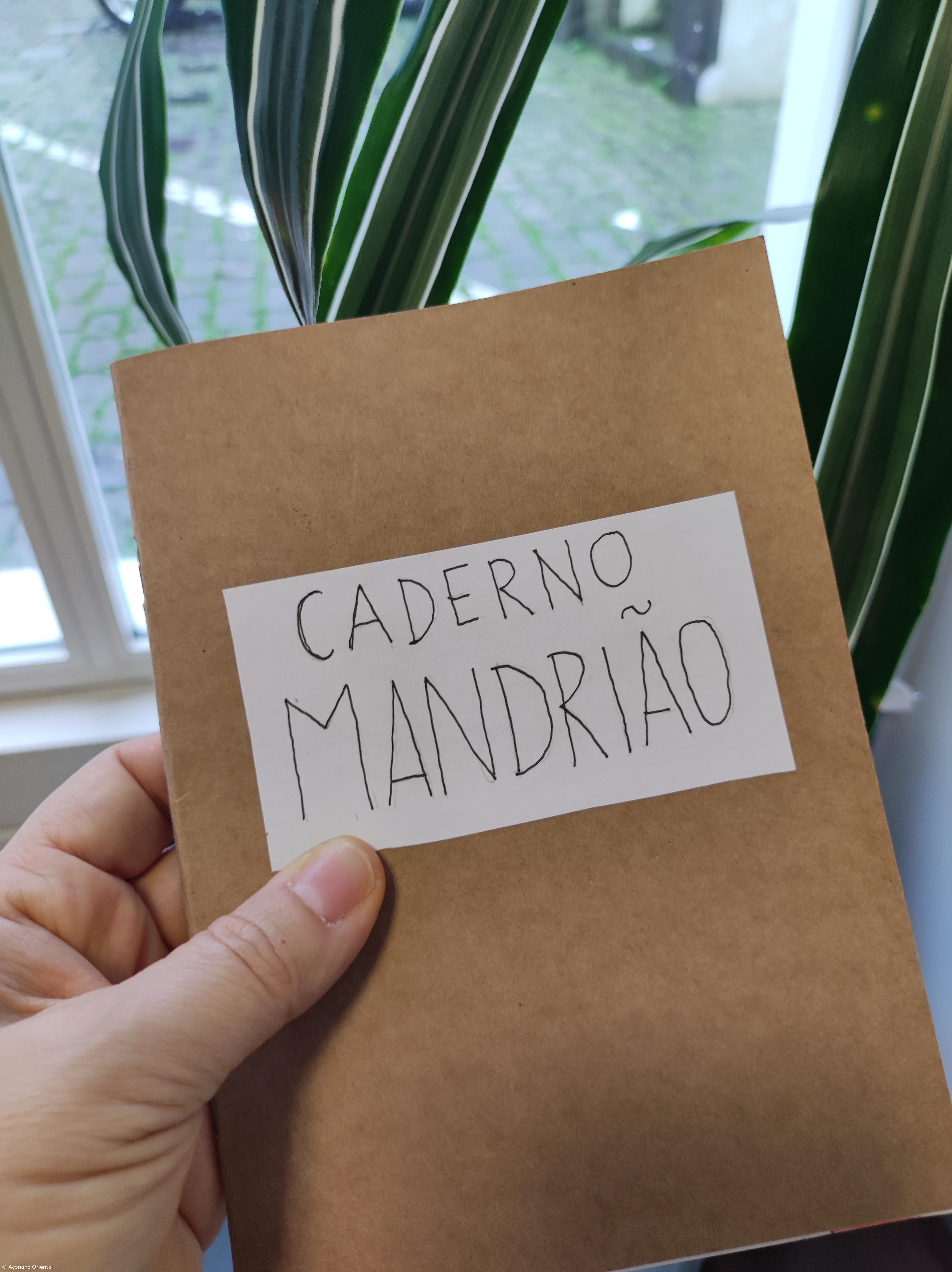 Um caderno que abre a biblioteca a novos autores – Imagem 5