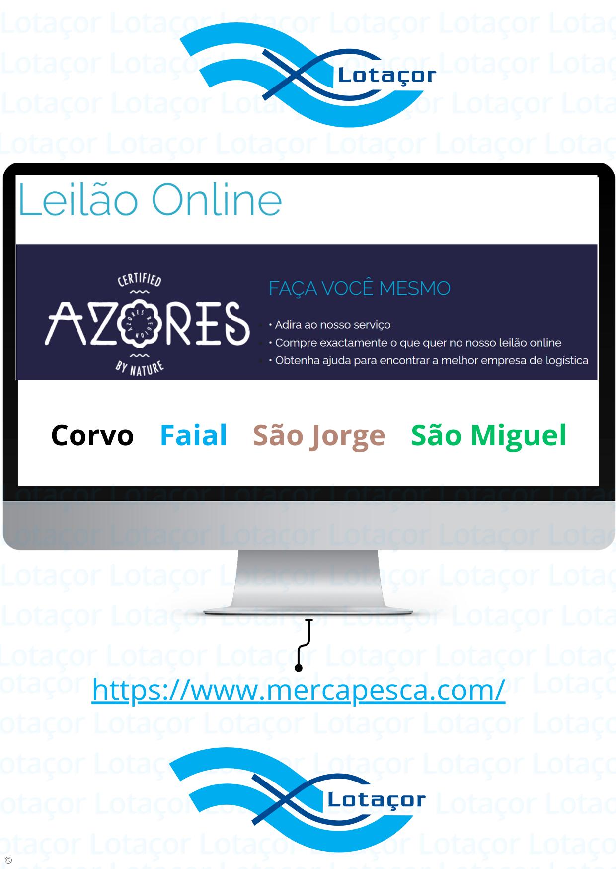 Lotaçor expande lota 'online' para as ilhas do Corvo, Faial e São Jorge – Imagem 1