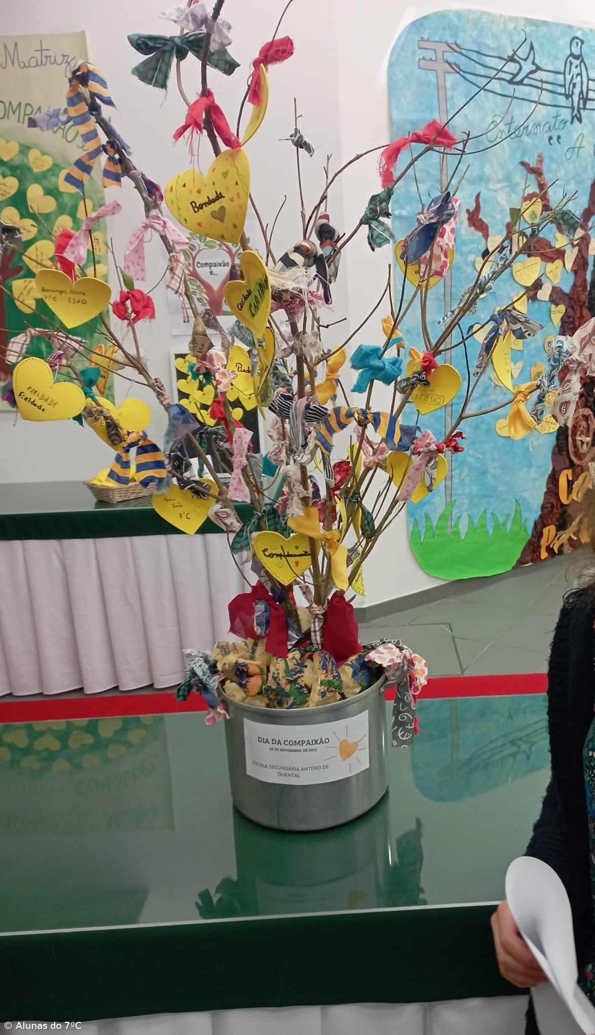 COM (muita) PAIXÃO – Imagem 1