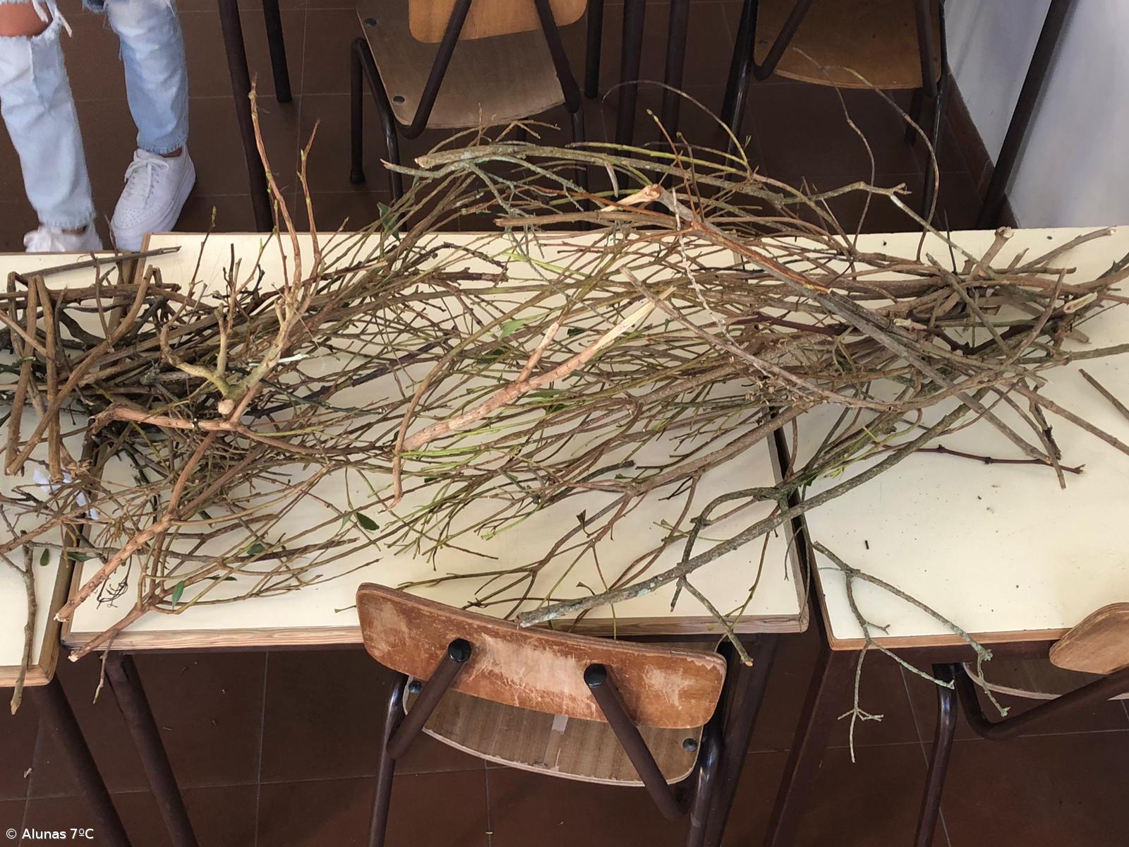 COM (muita) PAIXÃO – Imagem 2