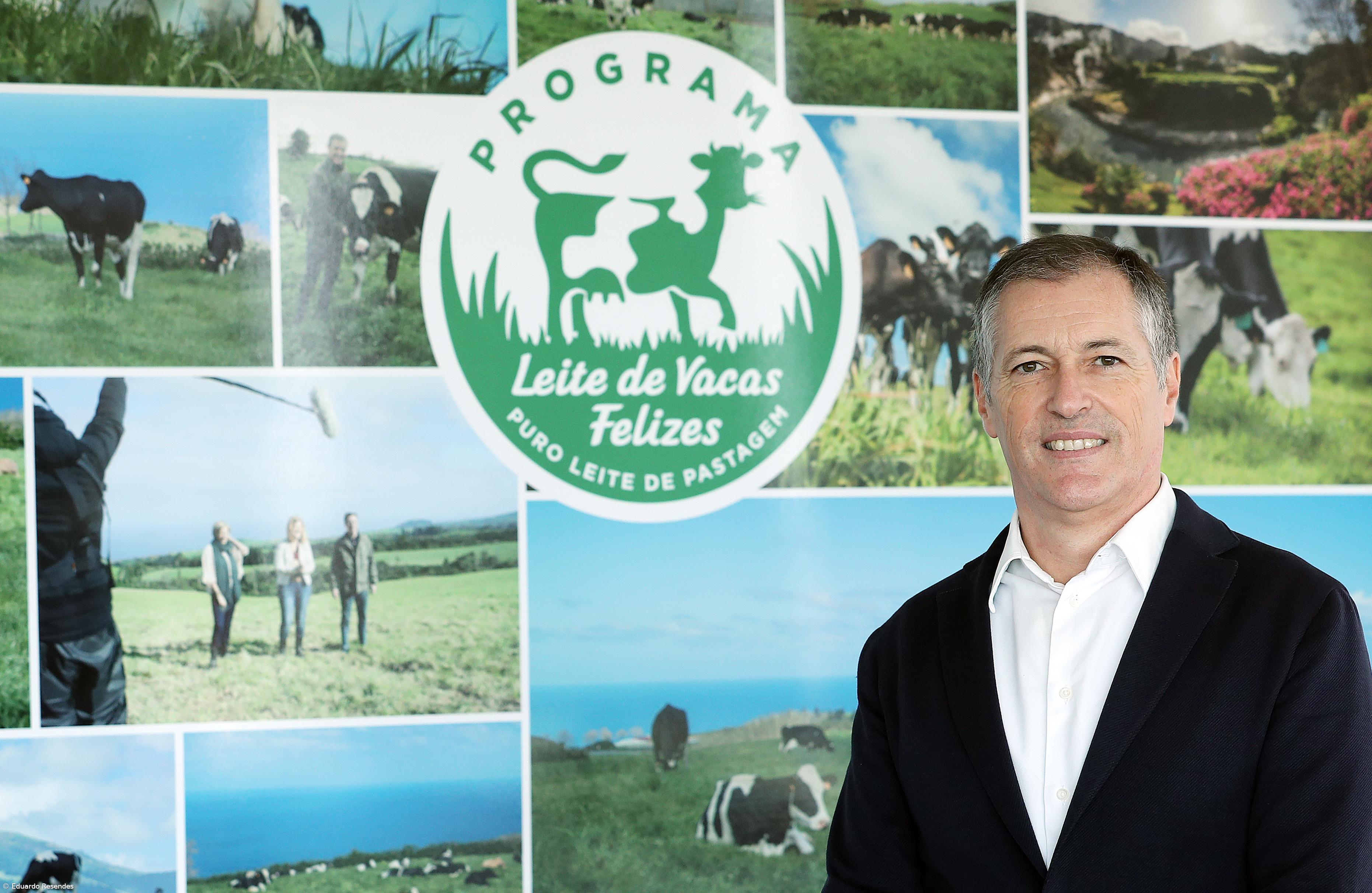 The dairy sector needs new policies to create a future in the Azores – Imagem 1