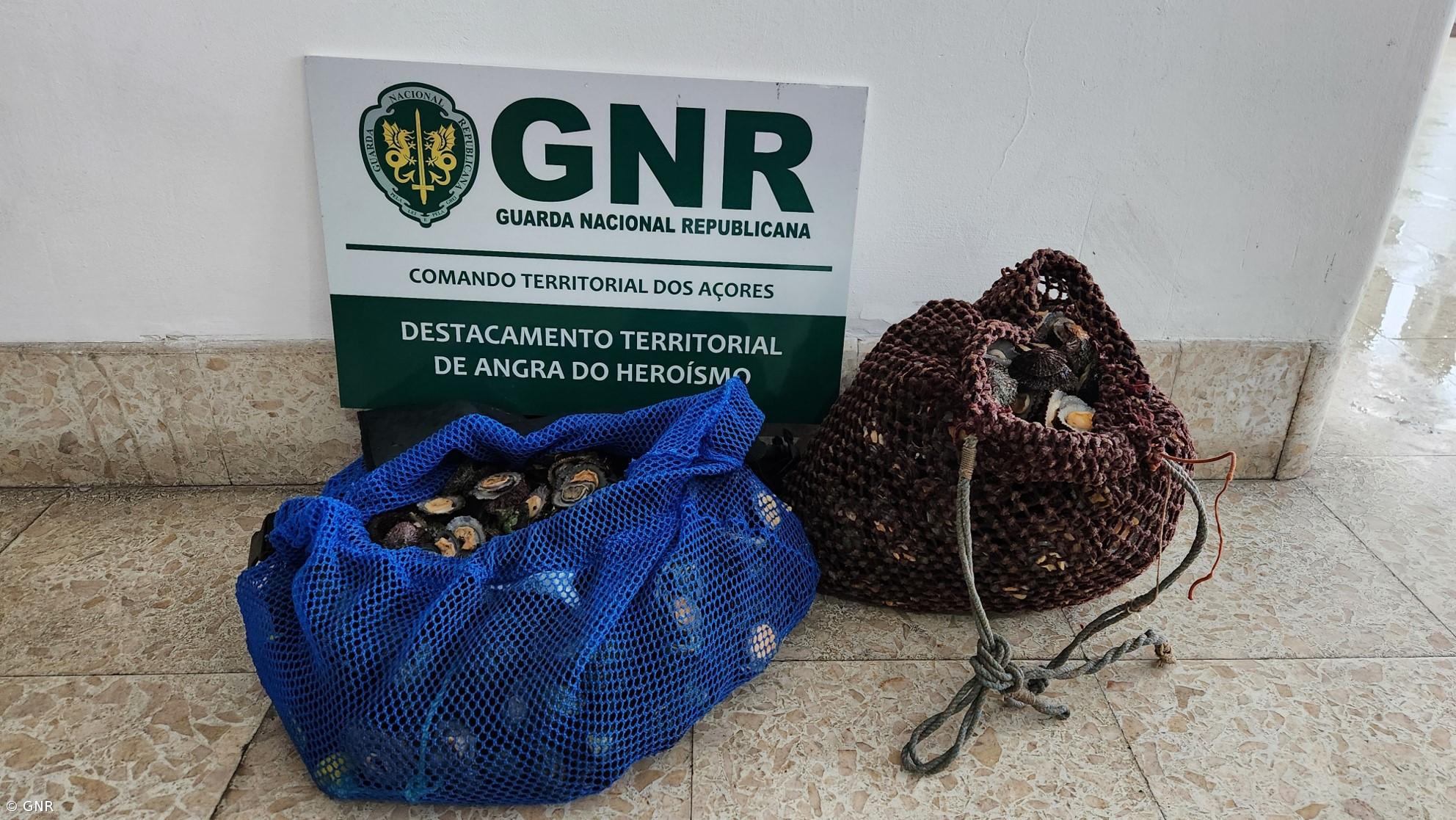 Apreendidos 16 quilos de lapas em área de reserva protegida em São Jorge – Imagem 1