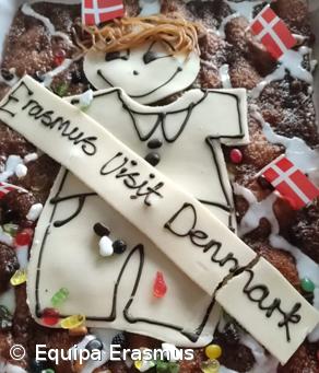 Testemunhos de alunos sobre a sua experiência ERASMUS (na Dinamarca e Hungria) – Imagem 9