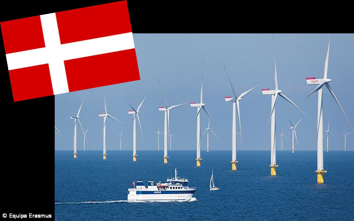 Testemunhos de alunos sobre a sua experiência ERASMUS (na Dinamarca e Hungria) – Imagem 8